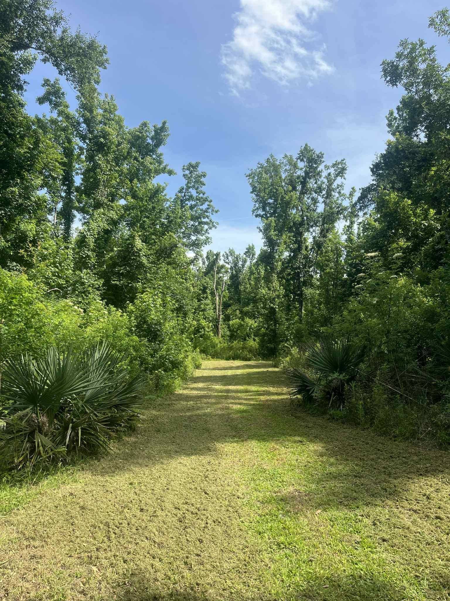 Houma, LA 70343,Tract B-5 Bourg Larose Highway