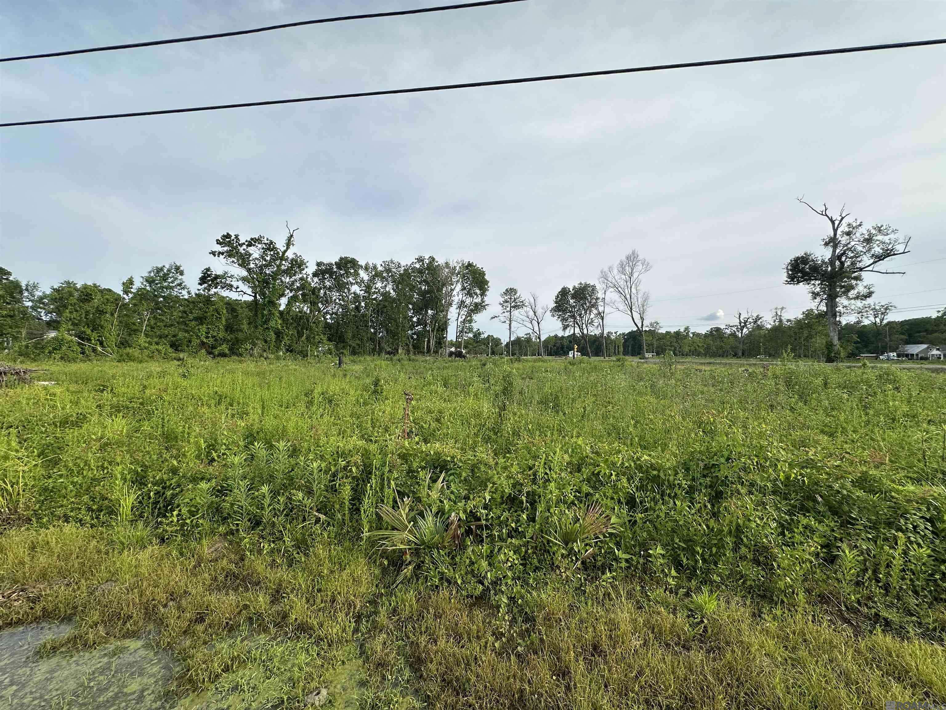 Gonzales, LA 70737,42455 Church Point Rd