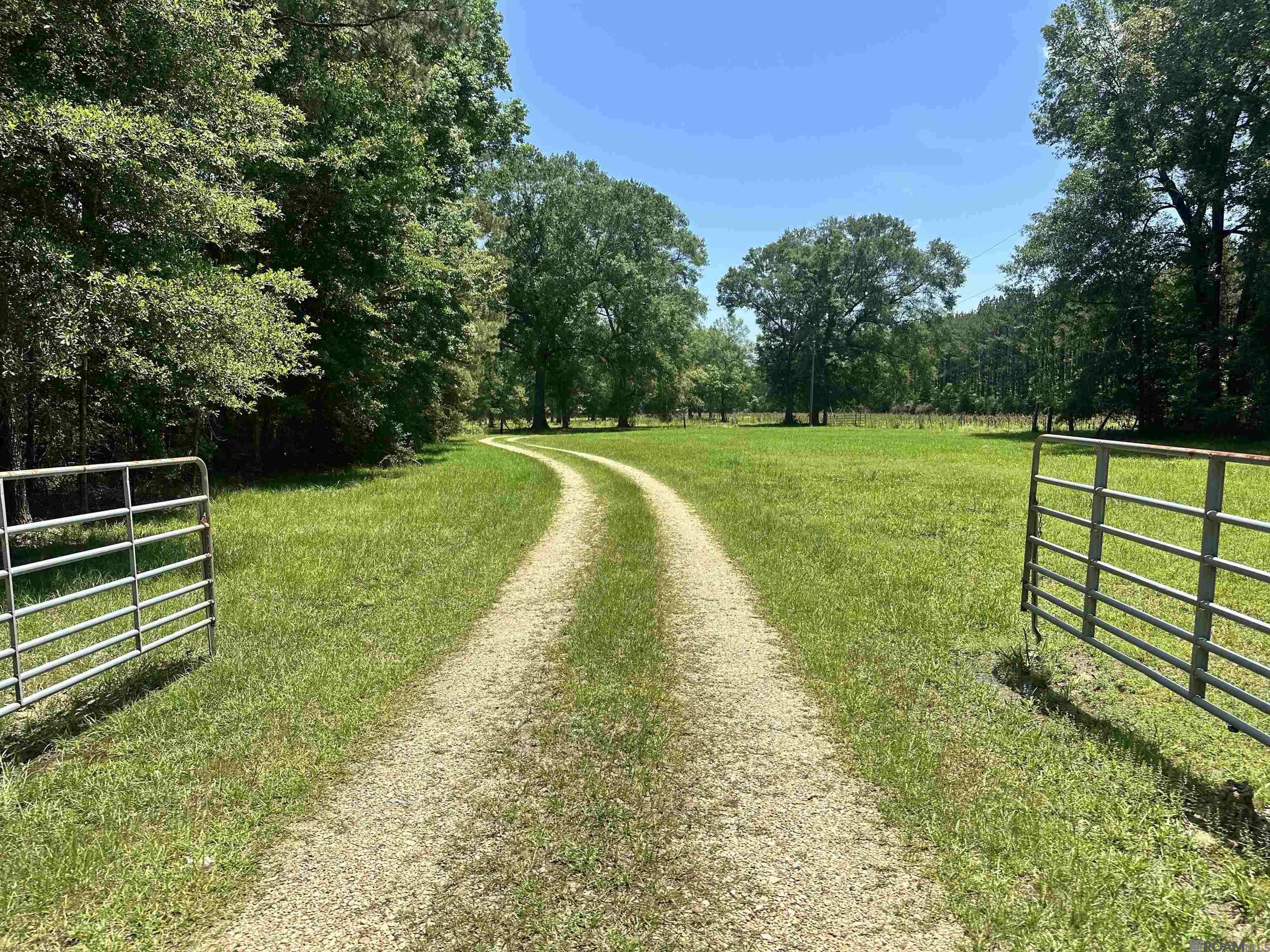 Pine Grove, LA 70453,472 La Hwy 449