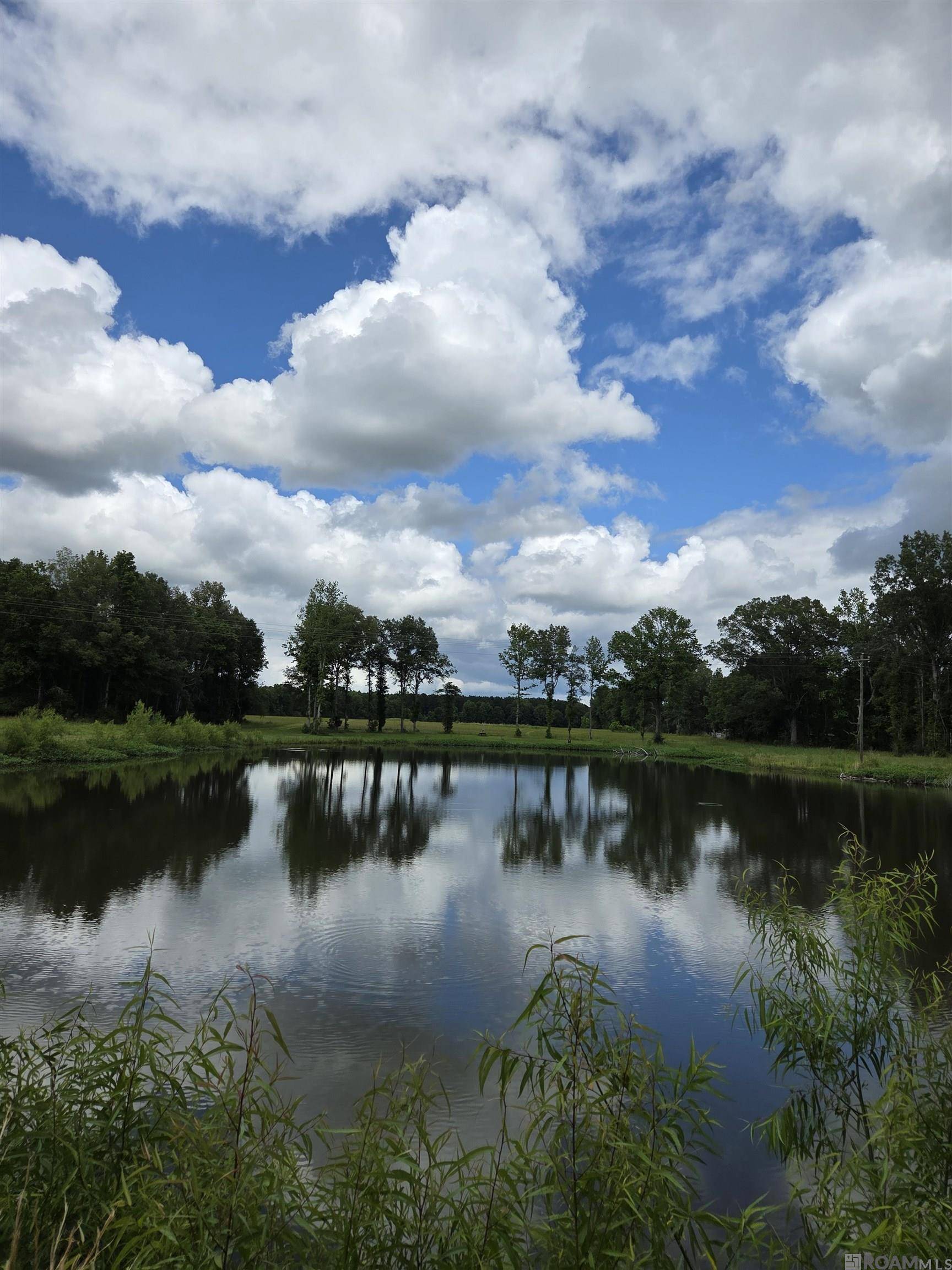 St Francisville, LA 70775,3097 La Hwy 966