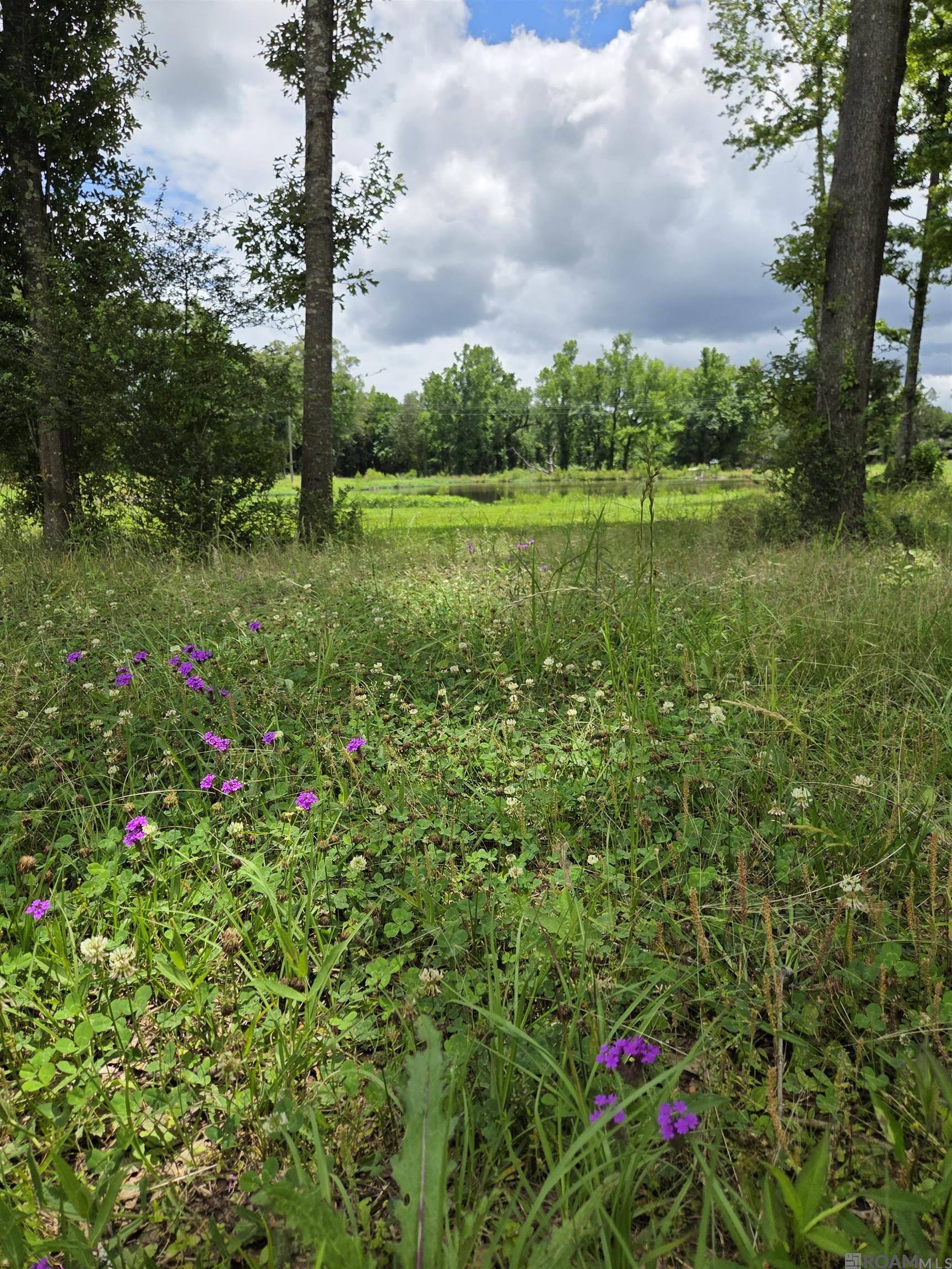 St Francisville, LA 70775,3097 La Hwy 966
