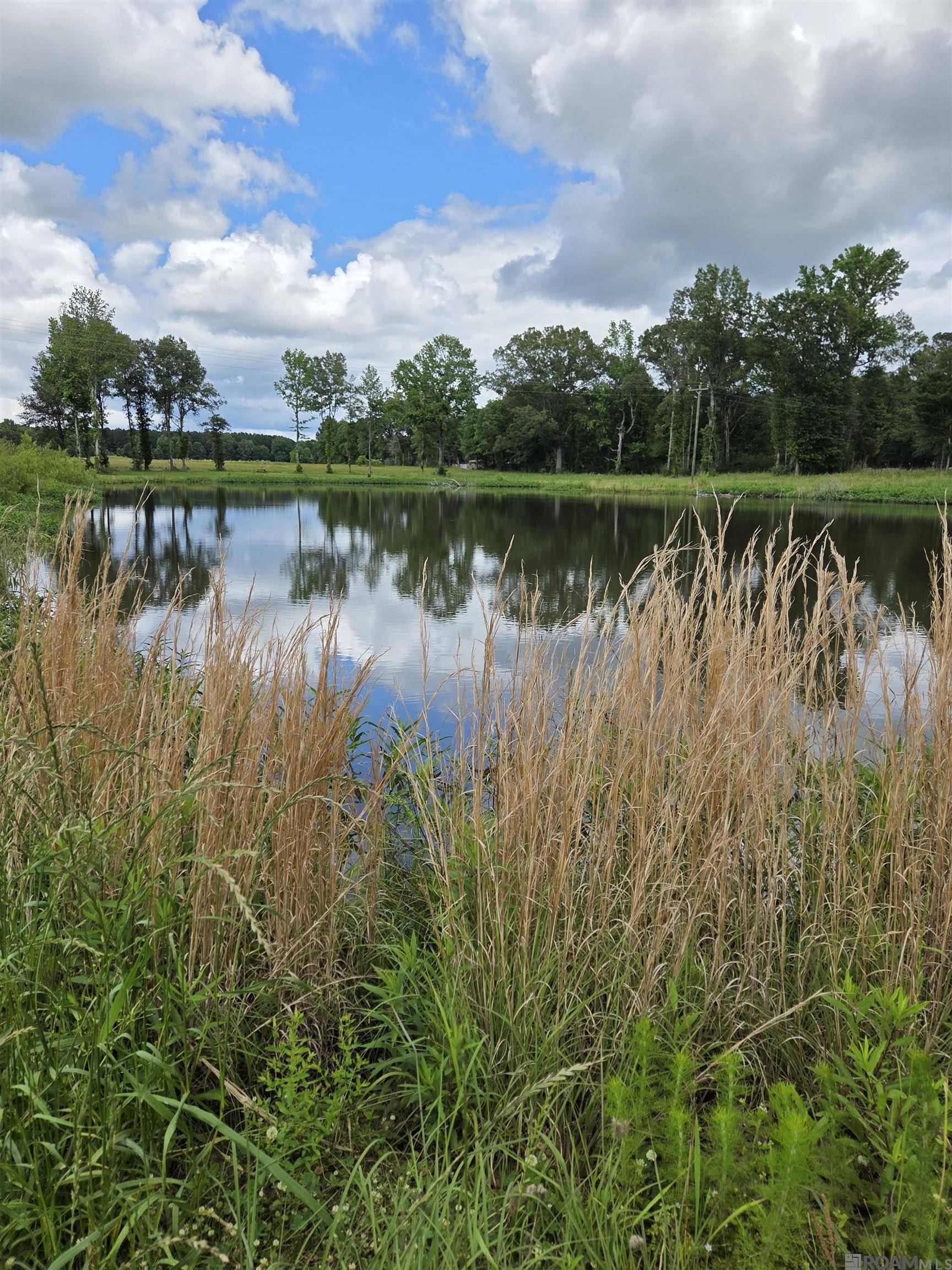 St Francisville, LA 70775,3097 La Hwy 966