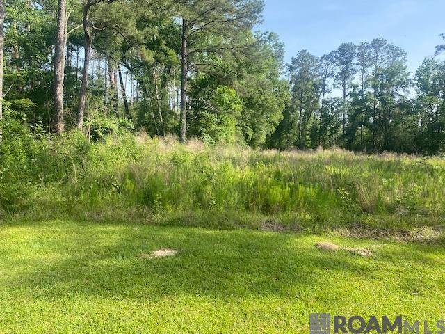 Amite, LA 70422,61199 Hwy 1046