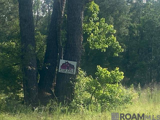 Amite, LA 70422,61199 Hwy 1046