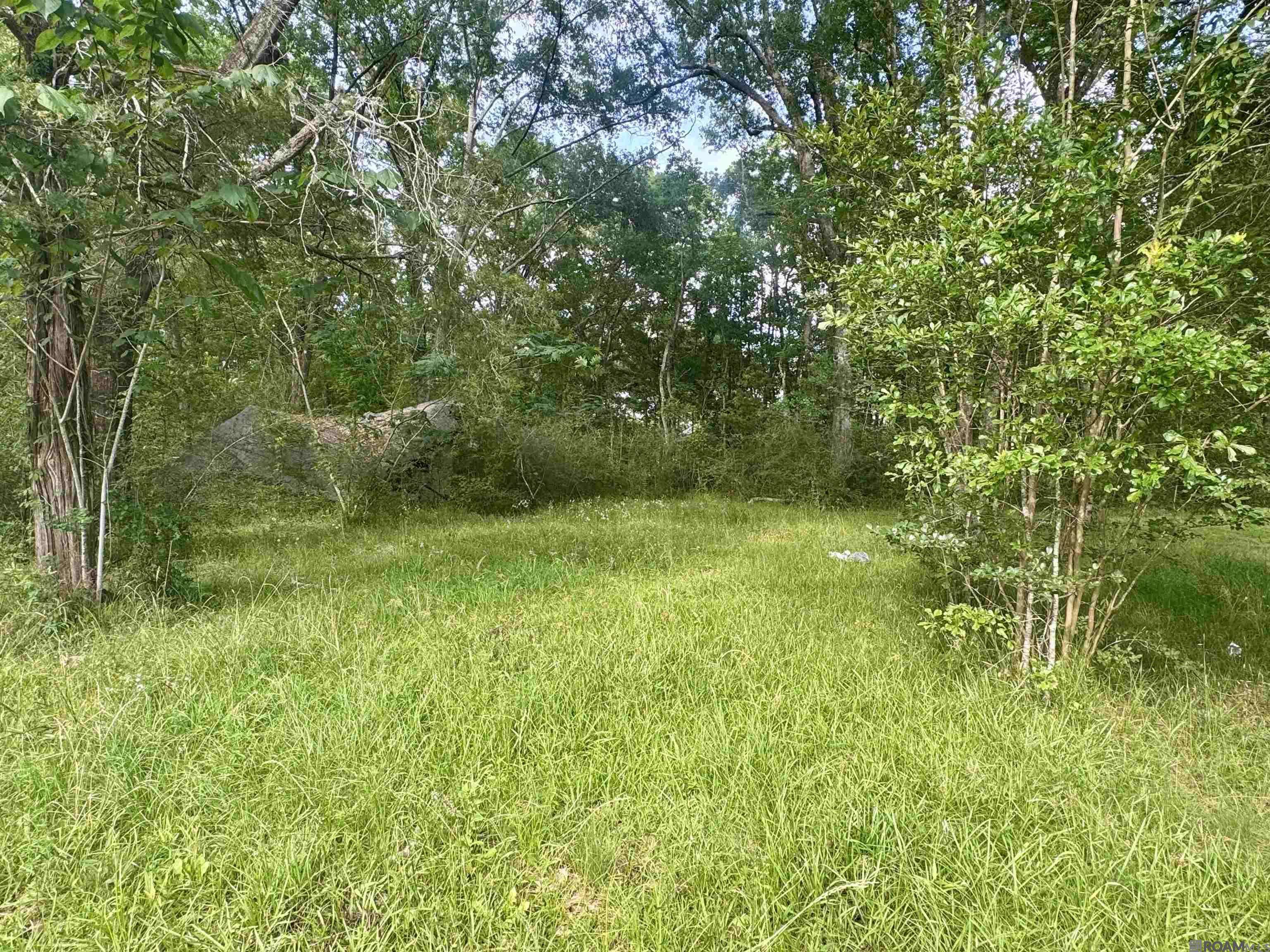 Baker, LA 70714,1306 Hazeloak Dr