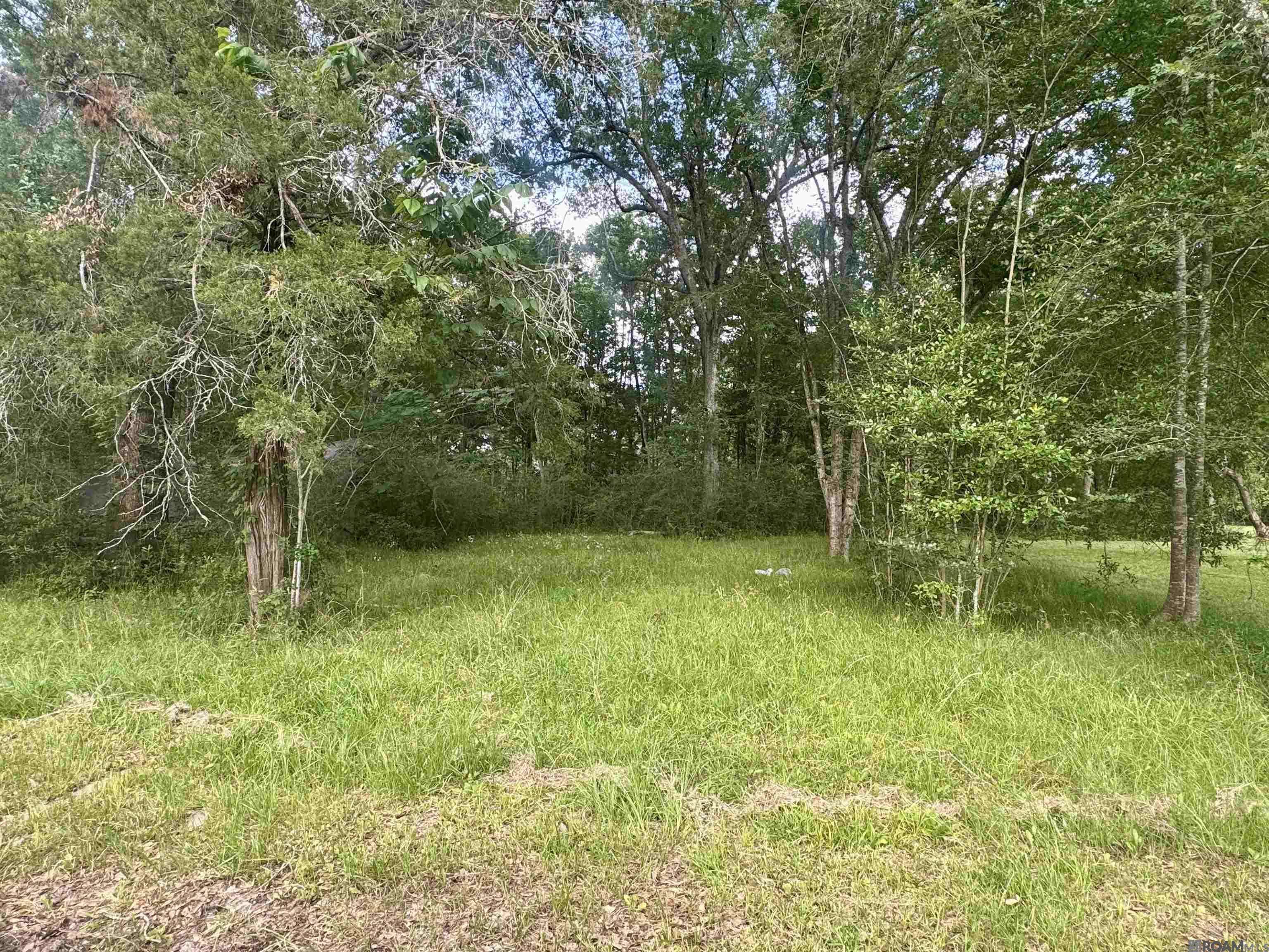 Baker, LA 70714,1306 Hazeloak Dr