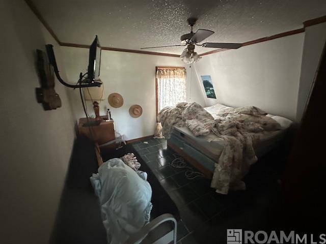 Ventress, LA 70783,12735 Chenevert St