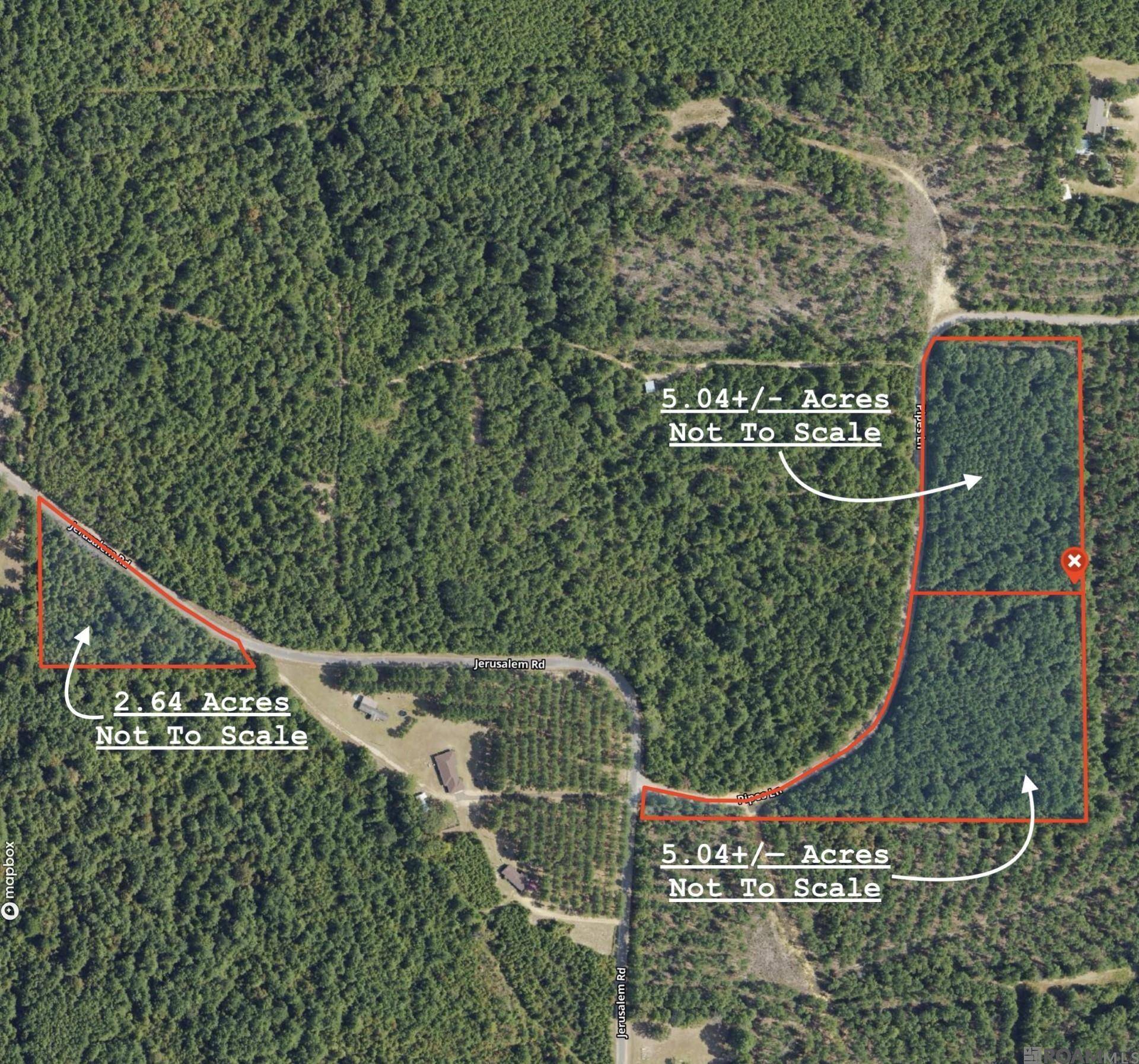 Liberty, MS 39645,TBD Pipes Ln