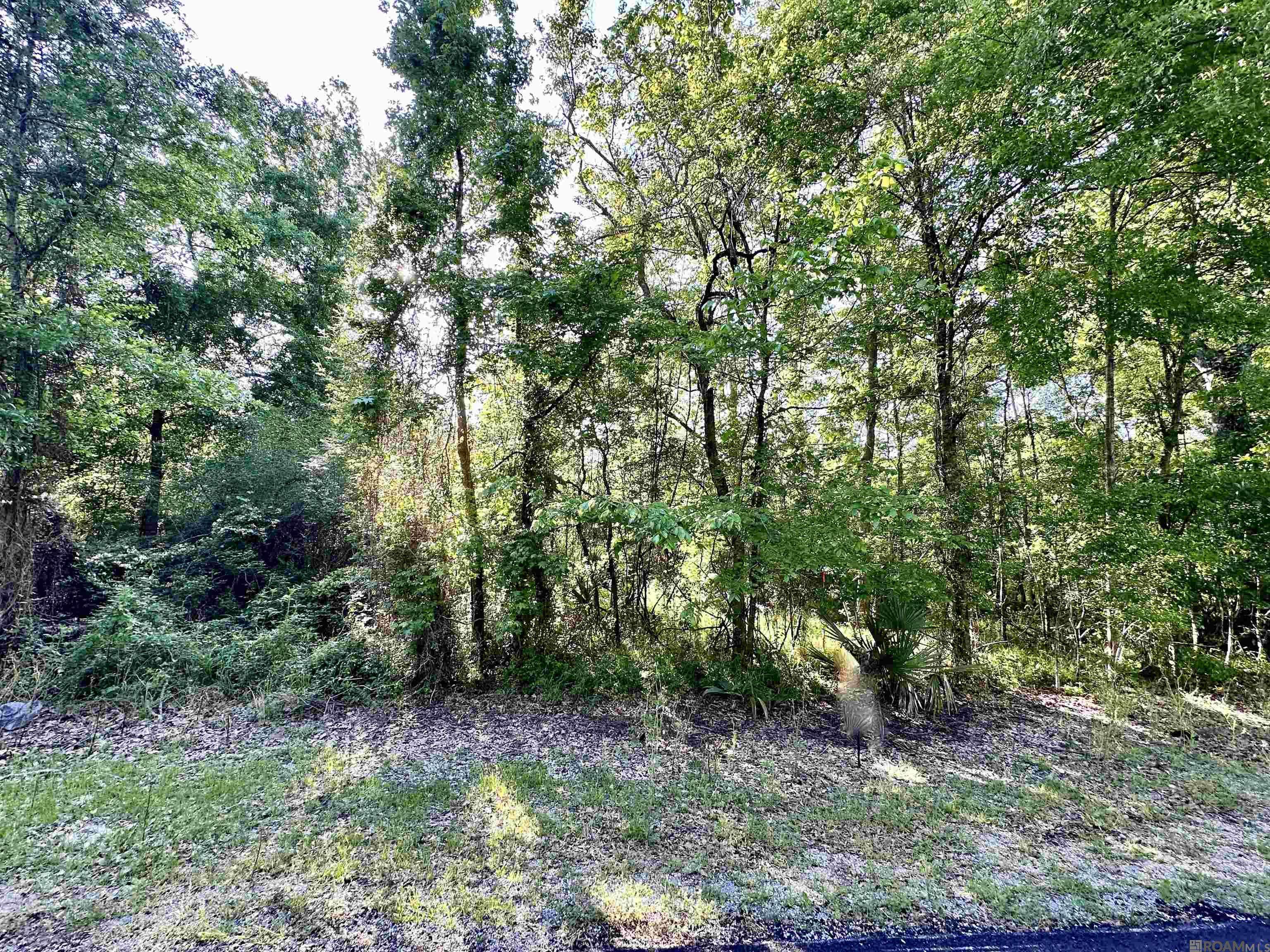 Prairieville, LA 70769,Lot #30-A Summerfield South Rd