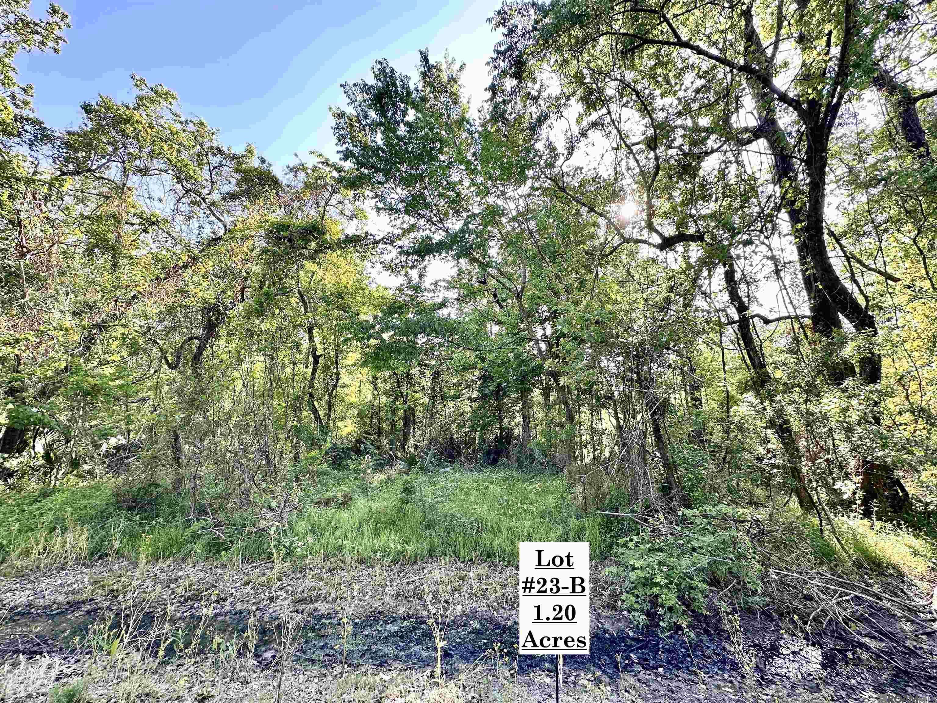 Prairieville, LA 70769,Lot #23-B Summerfield South Rd