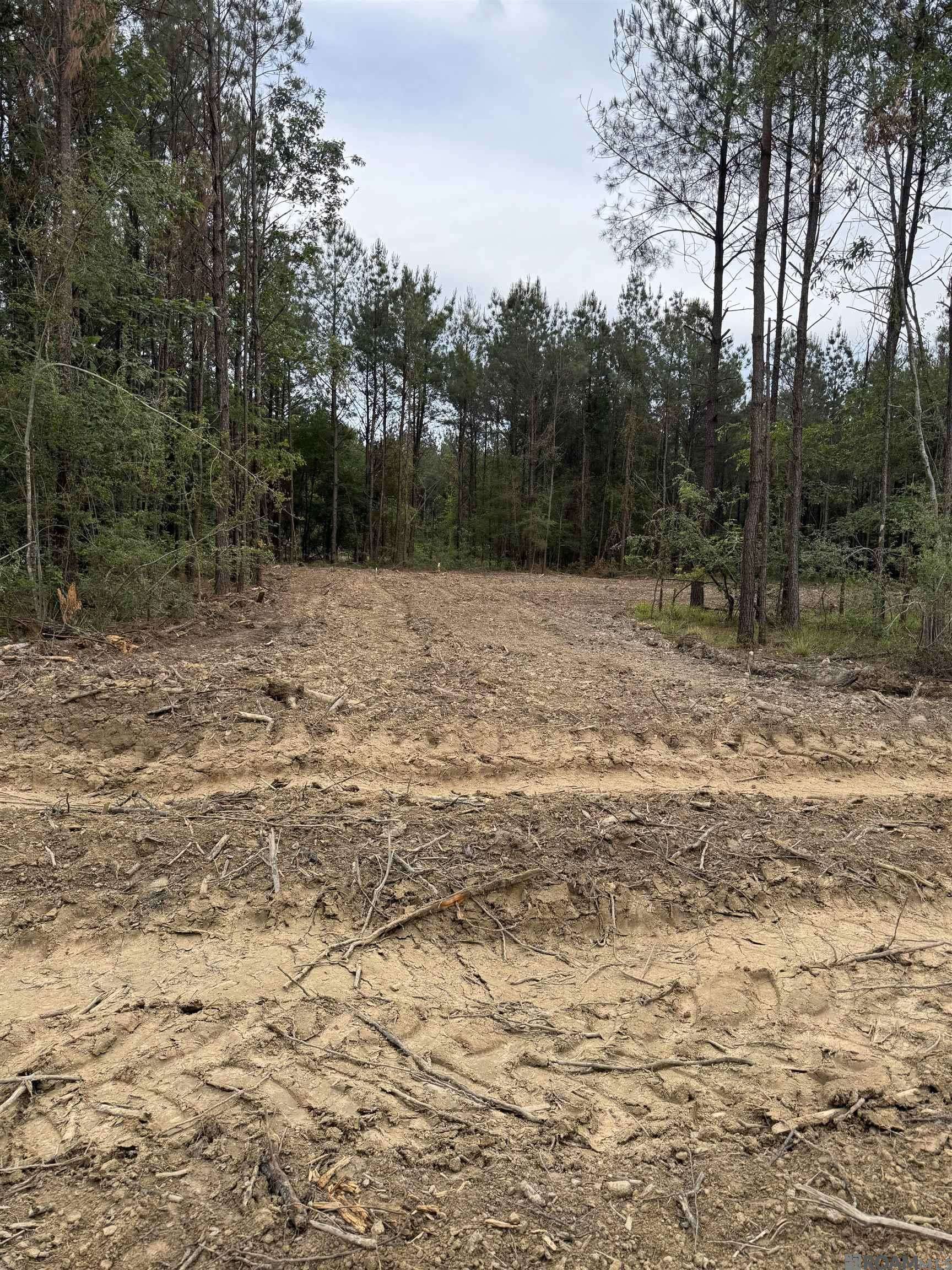 Livingston, LA 70754,Lot 28 Copper Pass