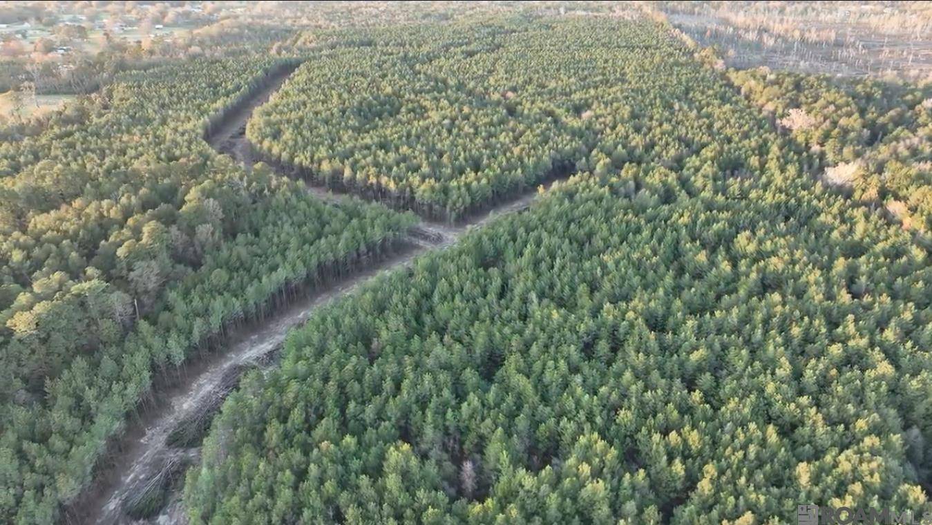 Livingston, LA 70754,Lot 28 Copper Pass