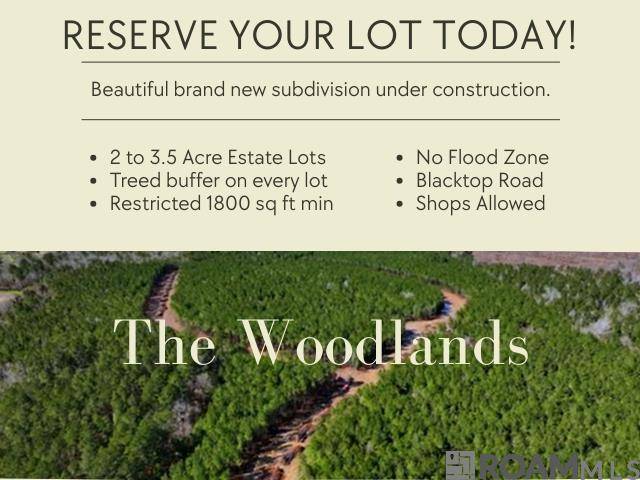 Livingston, LA 70754,Lot 28 Copper Pass