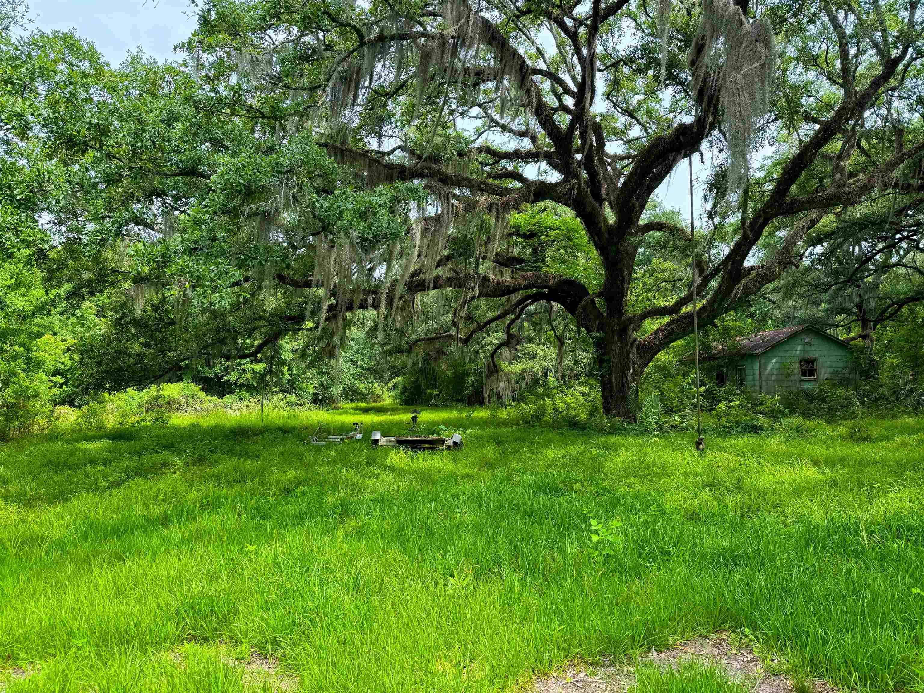 Belle River, LA 70339,tbd Michel Rd