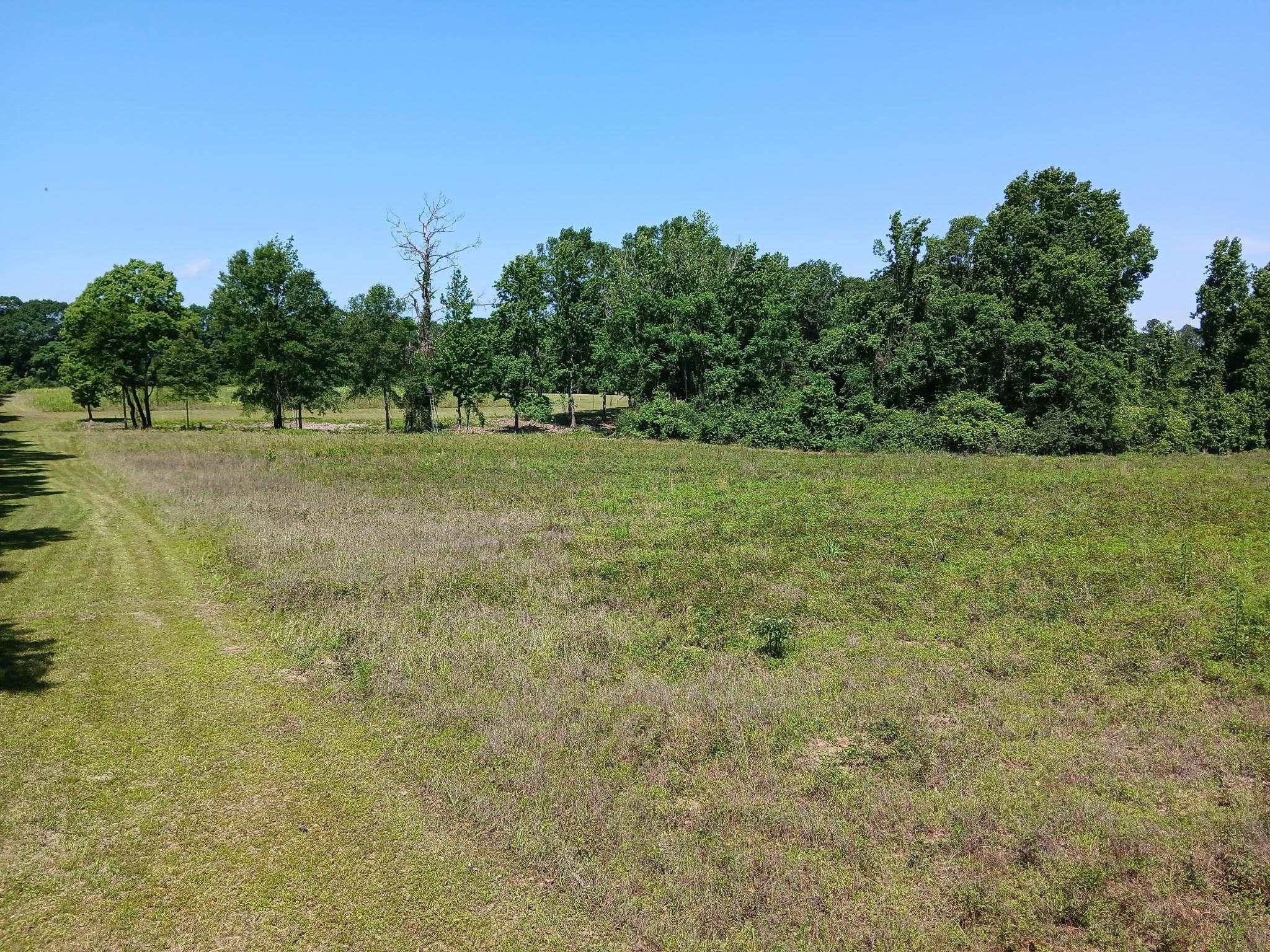 Mt Hermon, LA 70450,38090 Emmett Carter Road