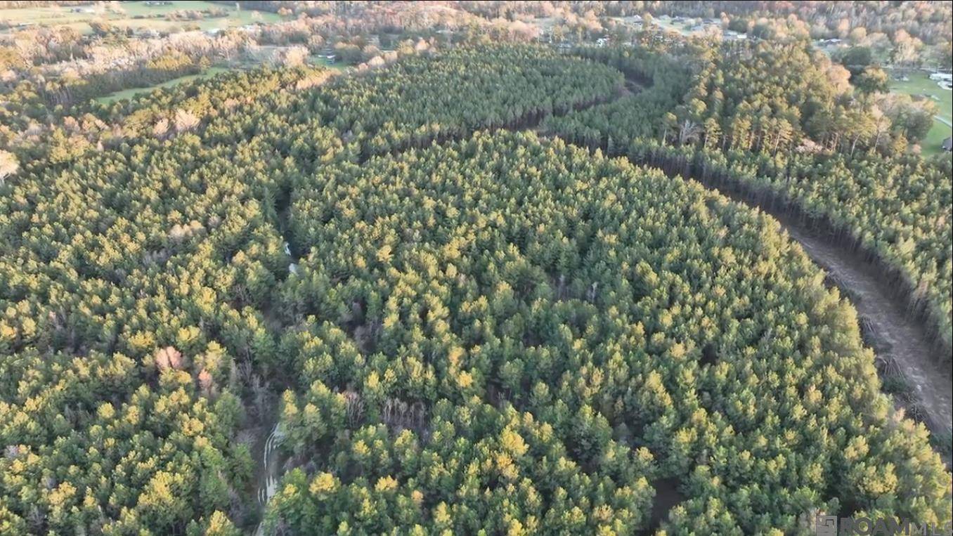Livingston, LA 70754,Lot 12 Honey Grove