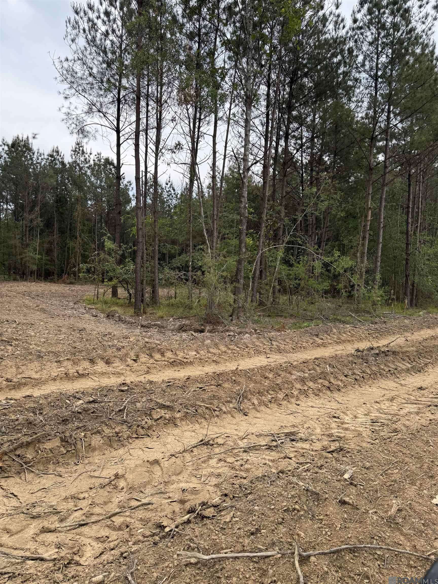 Livingston, LA 70754,Lot 37 Copper Pass