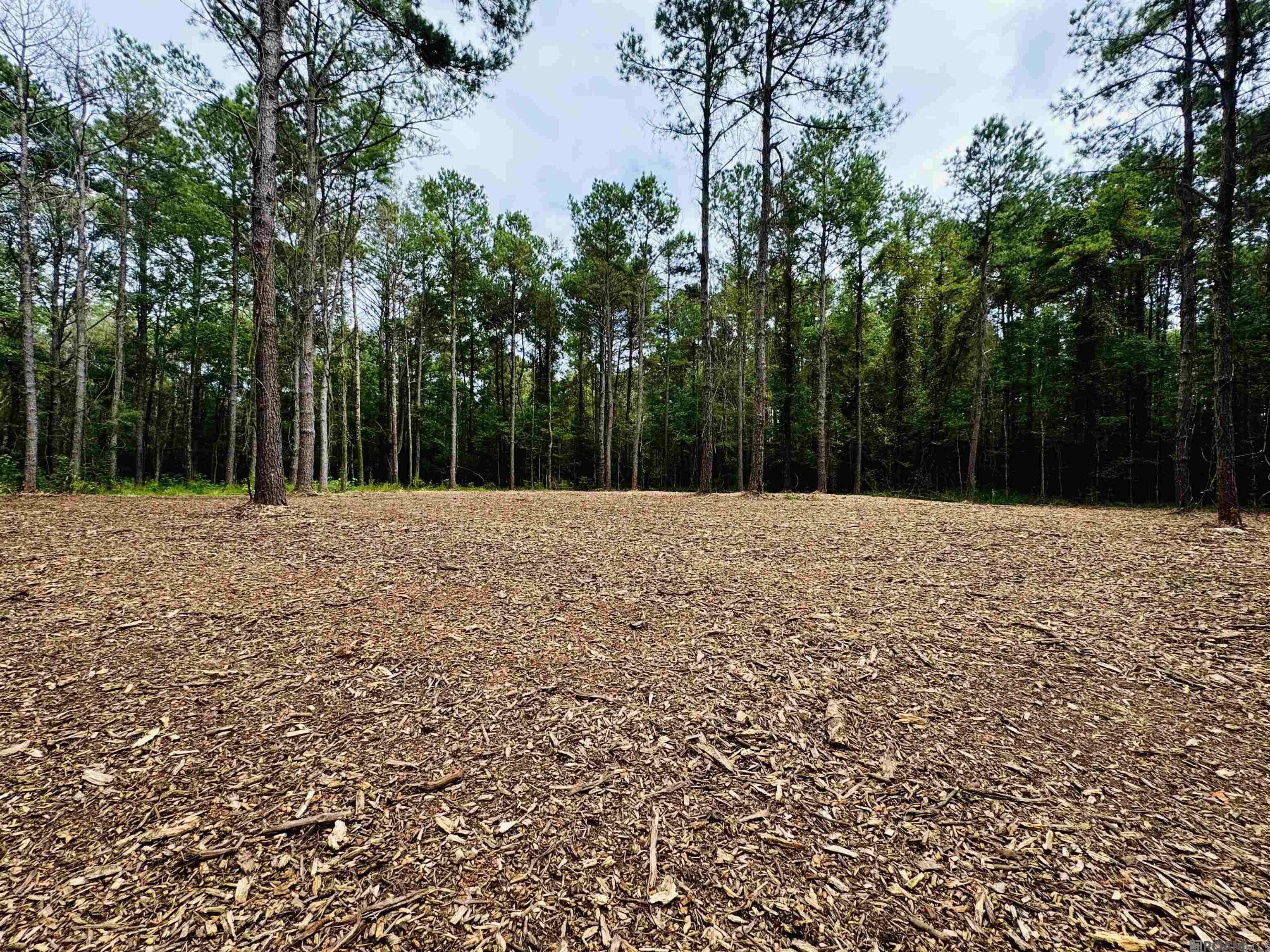 Denham Springs, LA 70706,SF-2 La Hwy 16