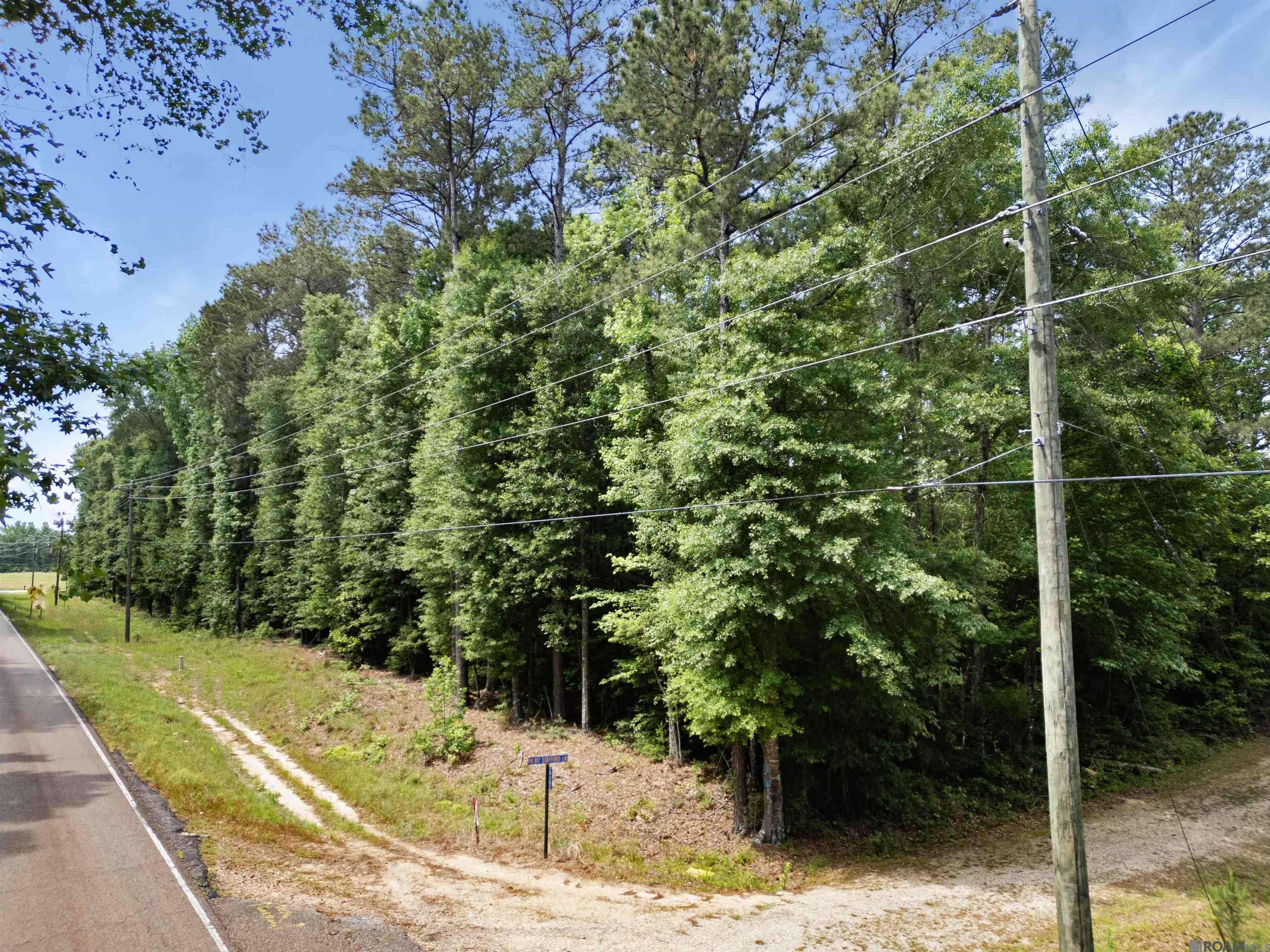 Franklinton, LA 70438,Lot 6 Hwy 62