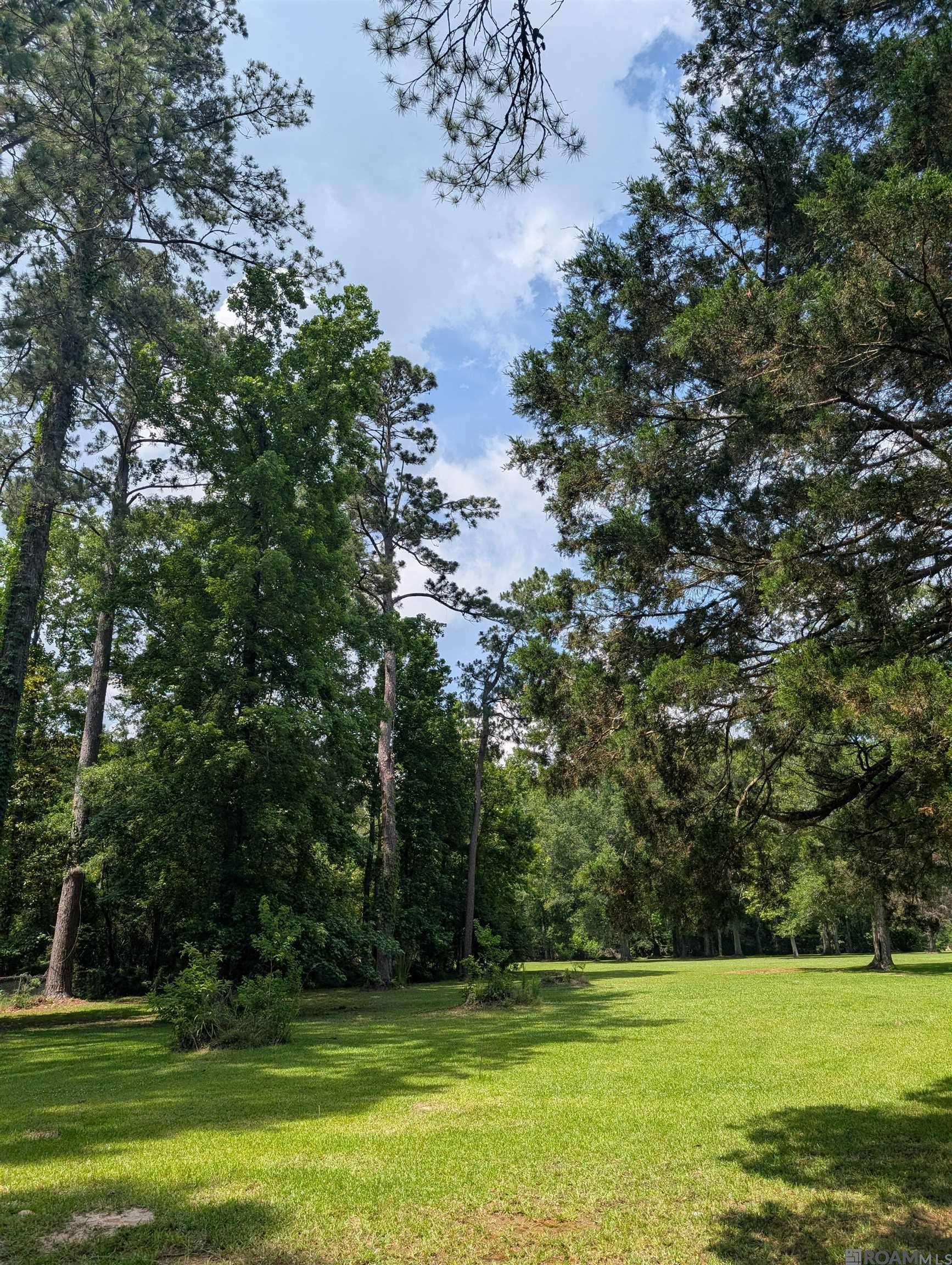 Jackson, LA 70748,TBD Newton St