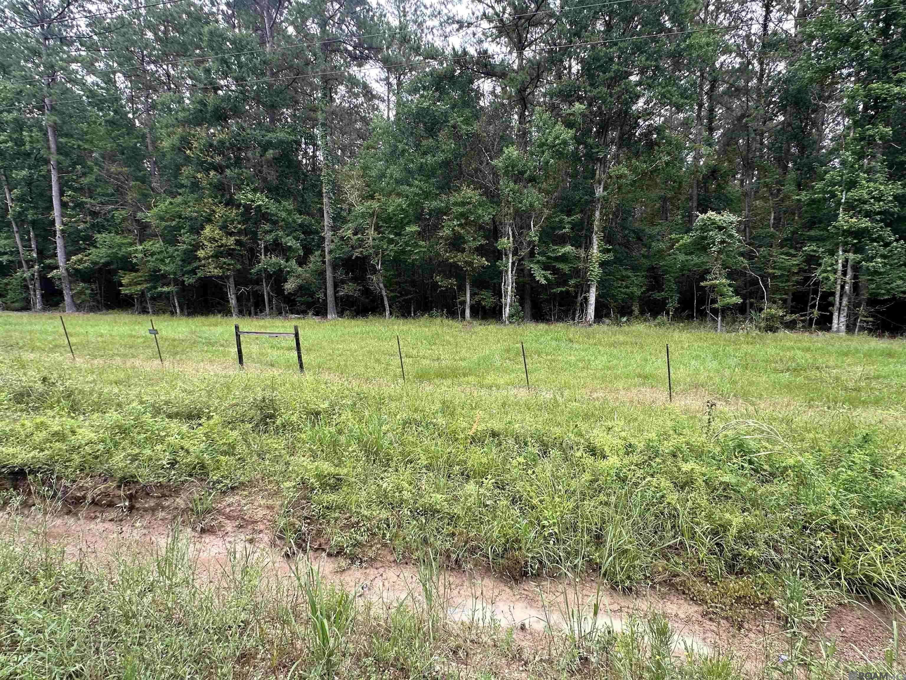 Livingston, LA 70754,Lot 3-B S Frost Rd