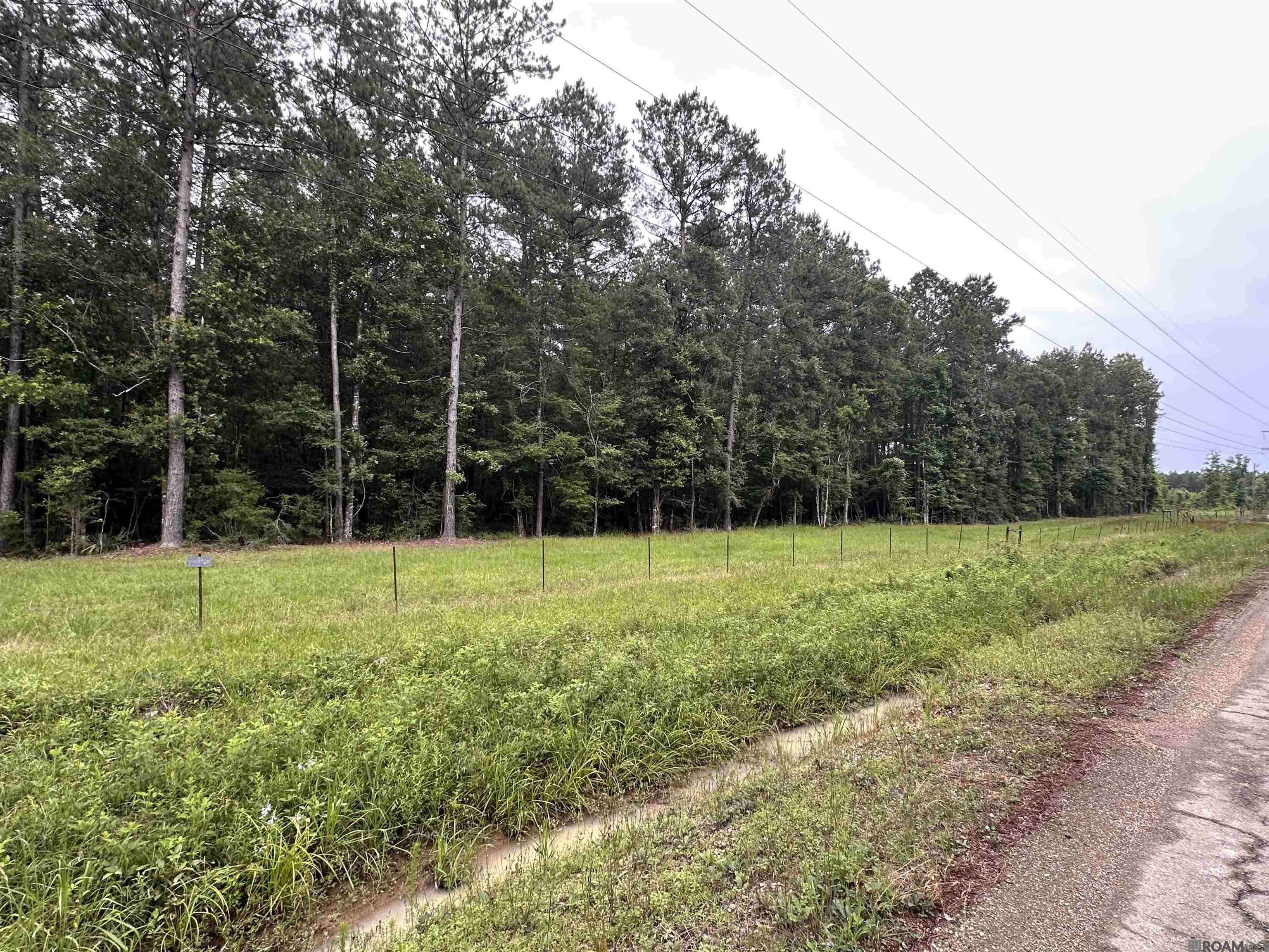 Livingston, LA 70754,Lot 3-B S Frost Rd