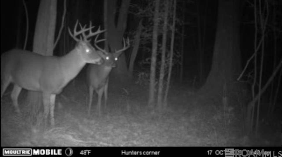 Denham Springs, LA 70706,Lot SF-12 La Hwy 16