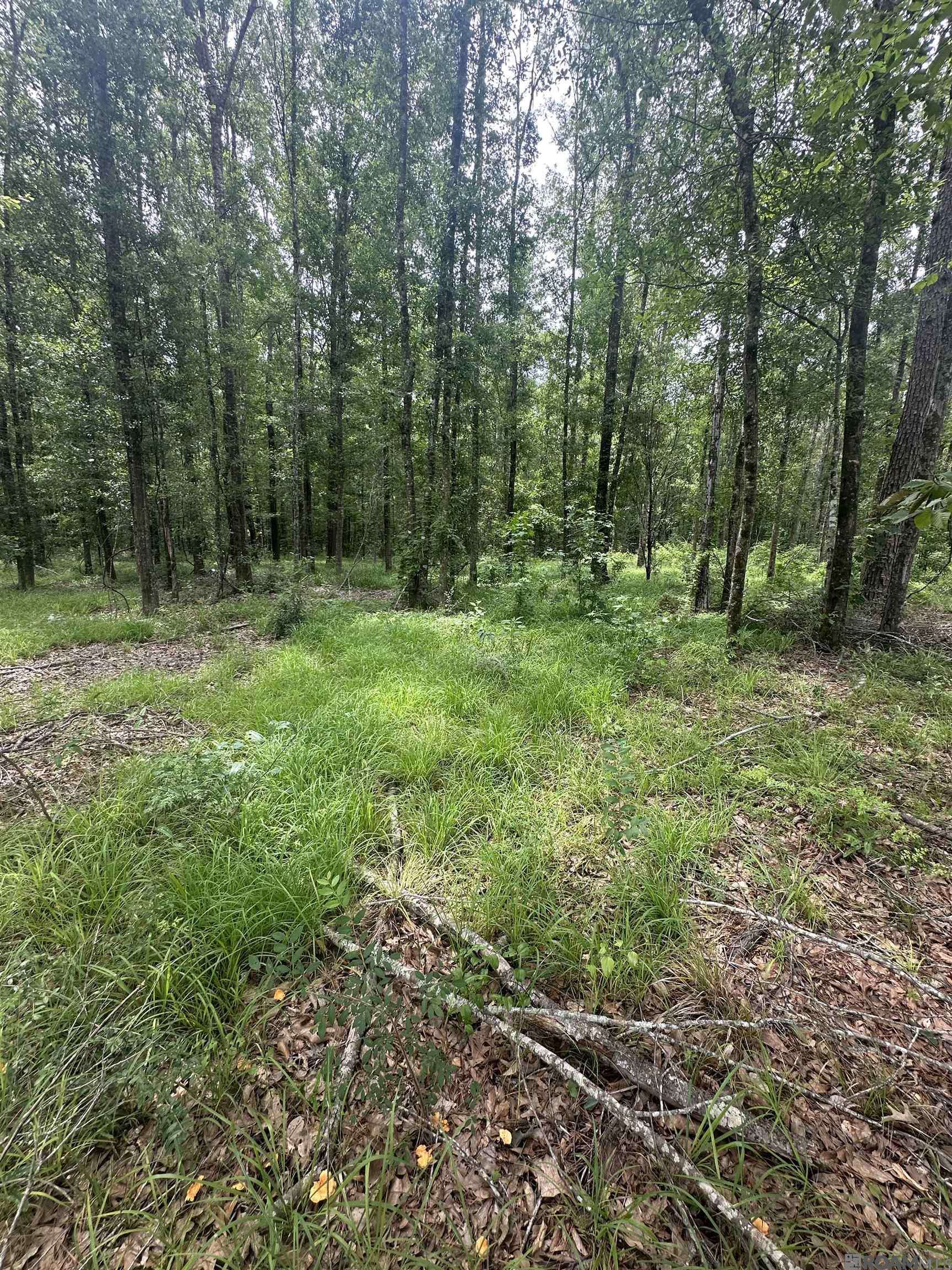Denham Springs, LA 70706,Lot SF-12 La Hwy 16