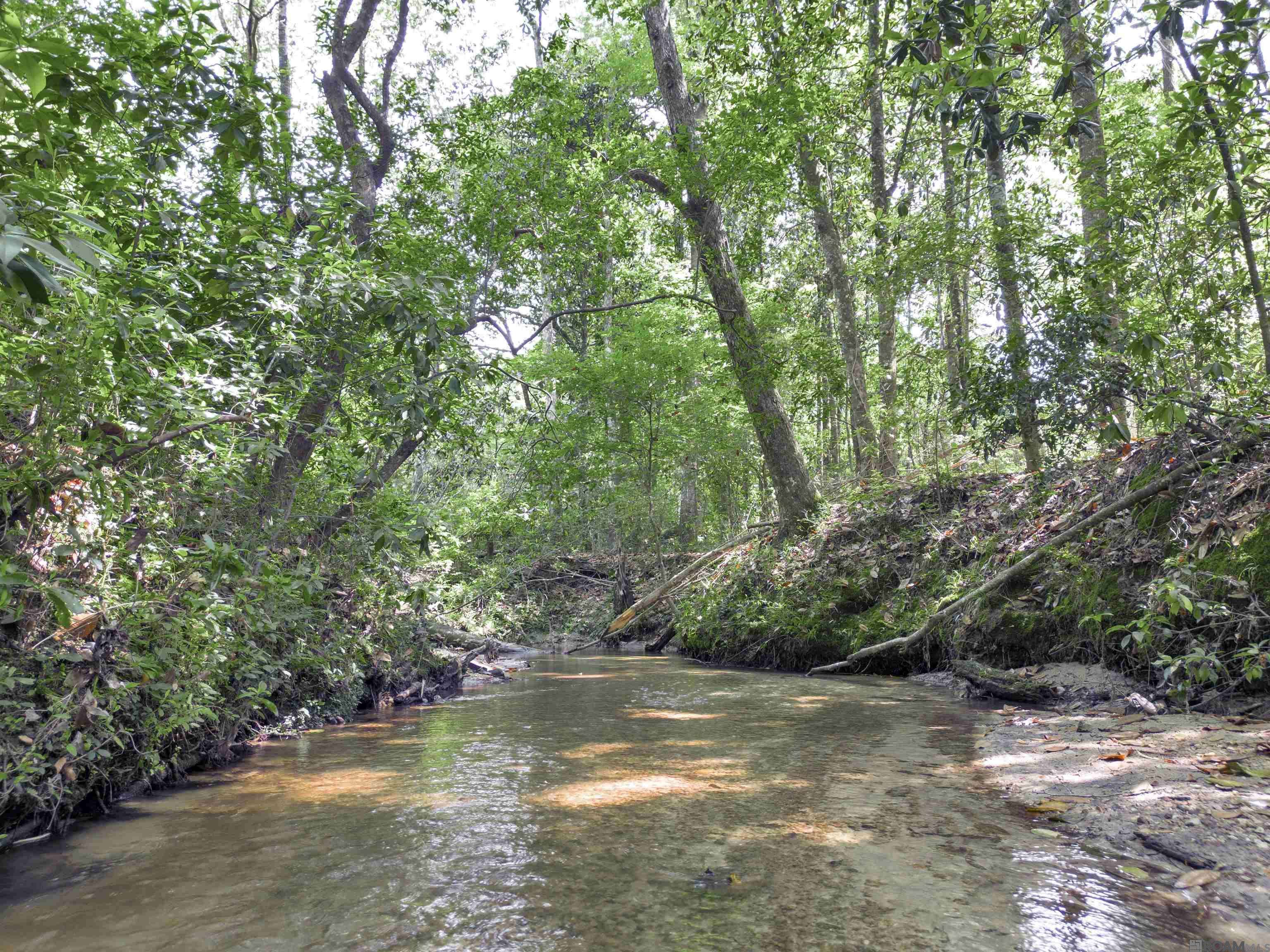 Franklinton, LA 70438,Lot 2 Hwy 62