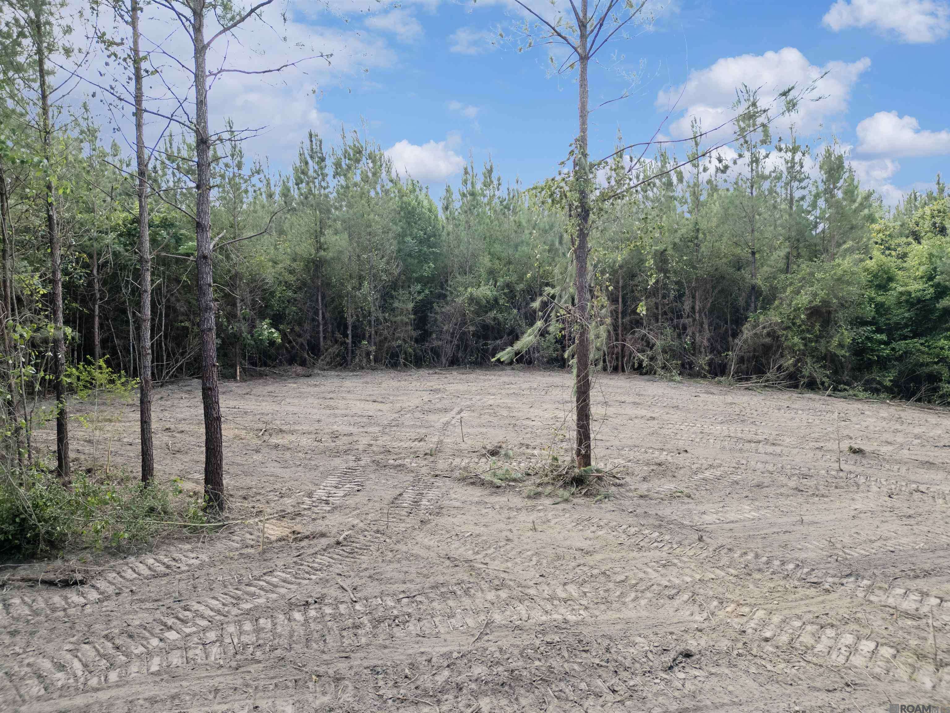 Franklinton, LA 70438,Lot 2 Hwy 62