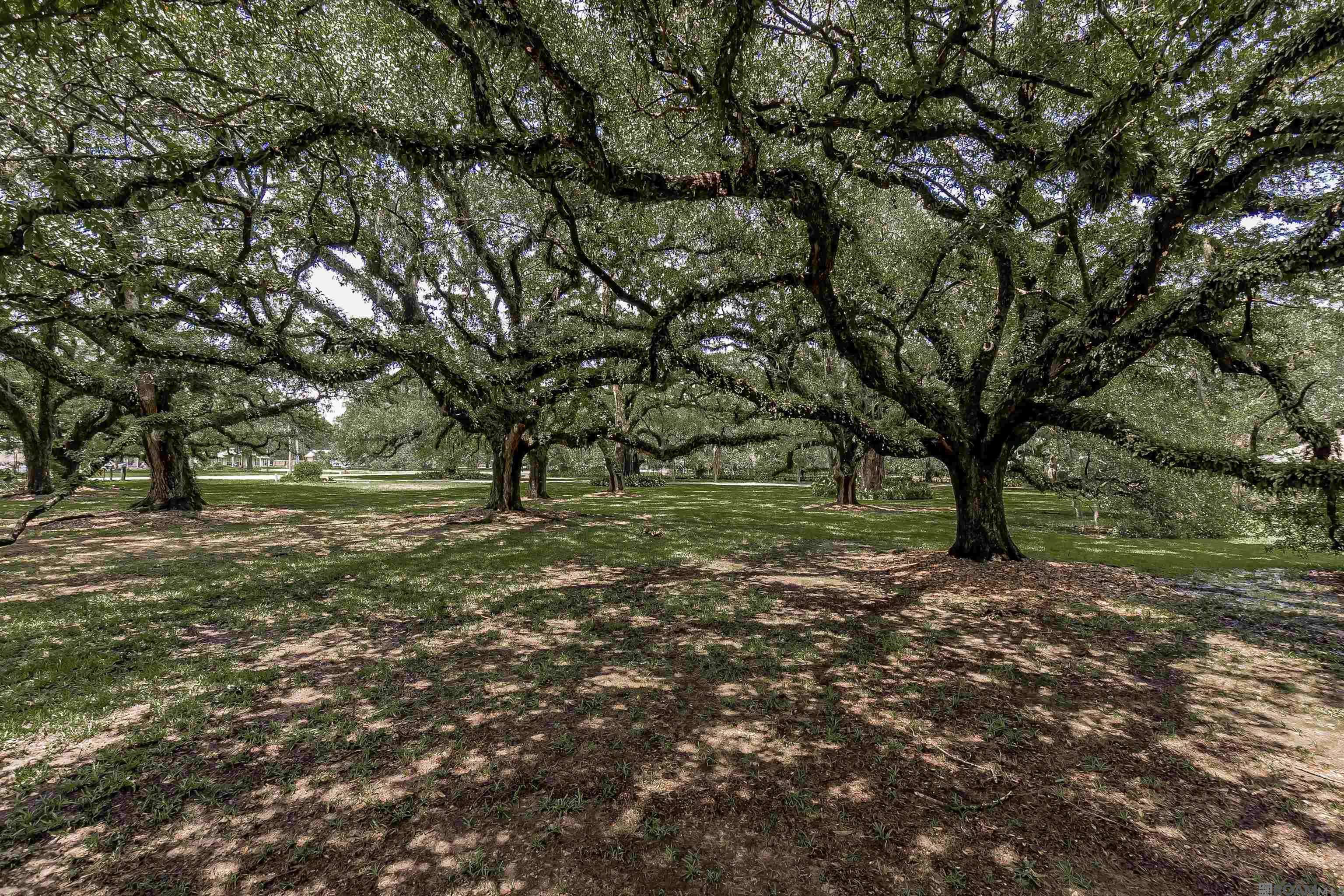 Baton Rouge, LA 70818,13138 Joor Rd
