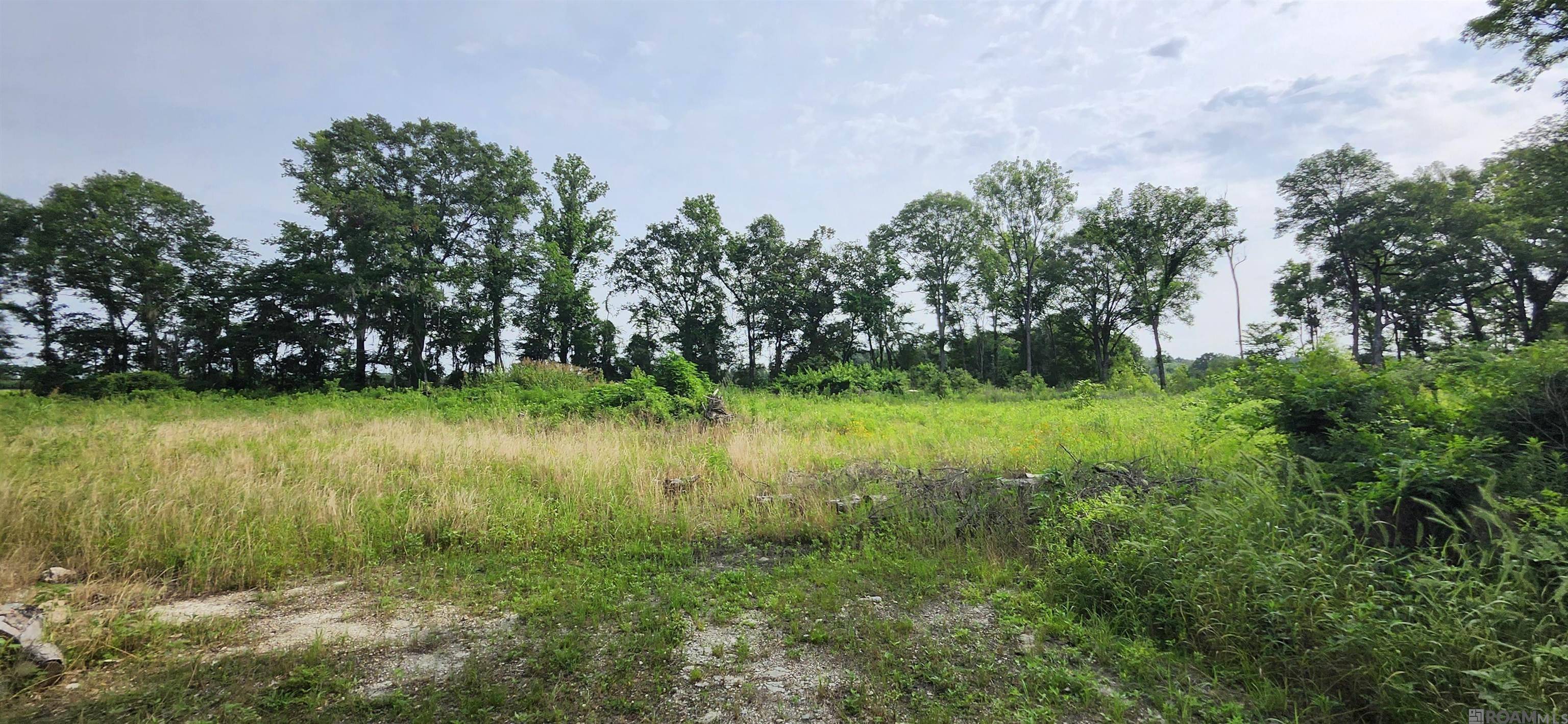 Baker, LA 70714,1-X-2 Griffin Ct