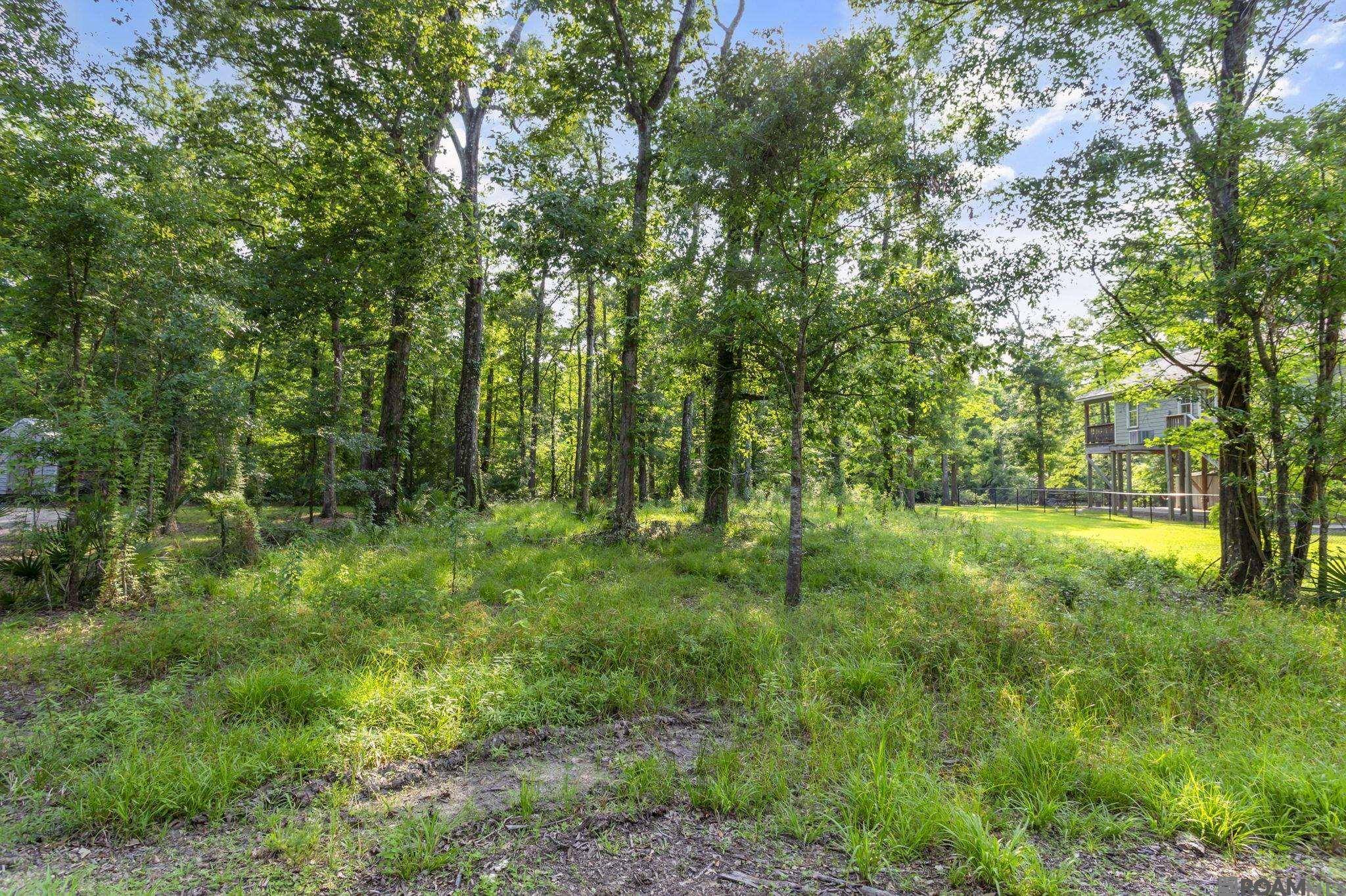 Prairieville, LA 70769,17381 Lake St