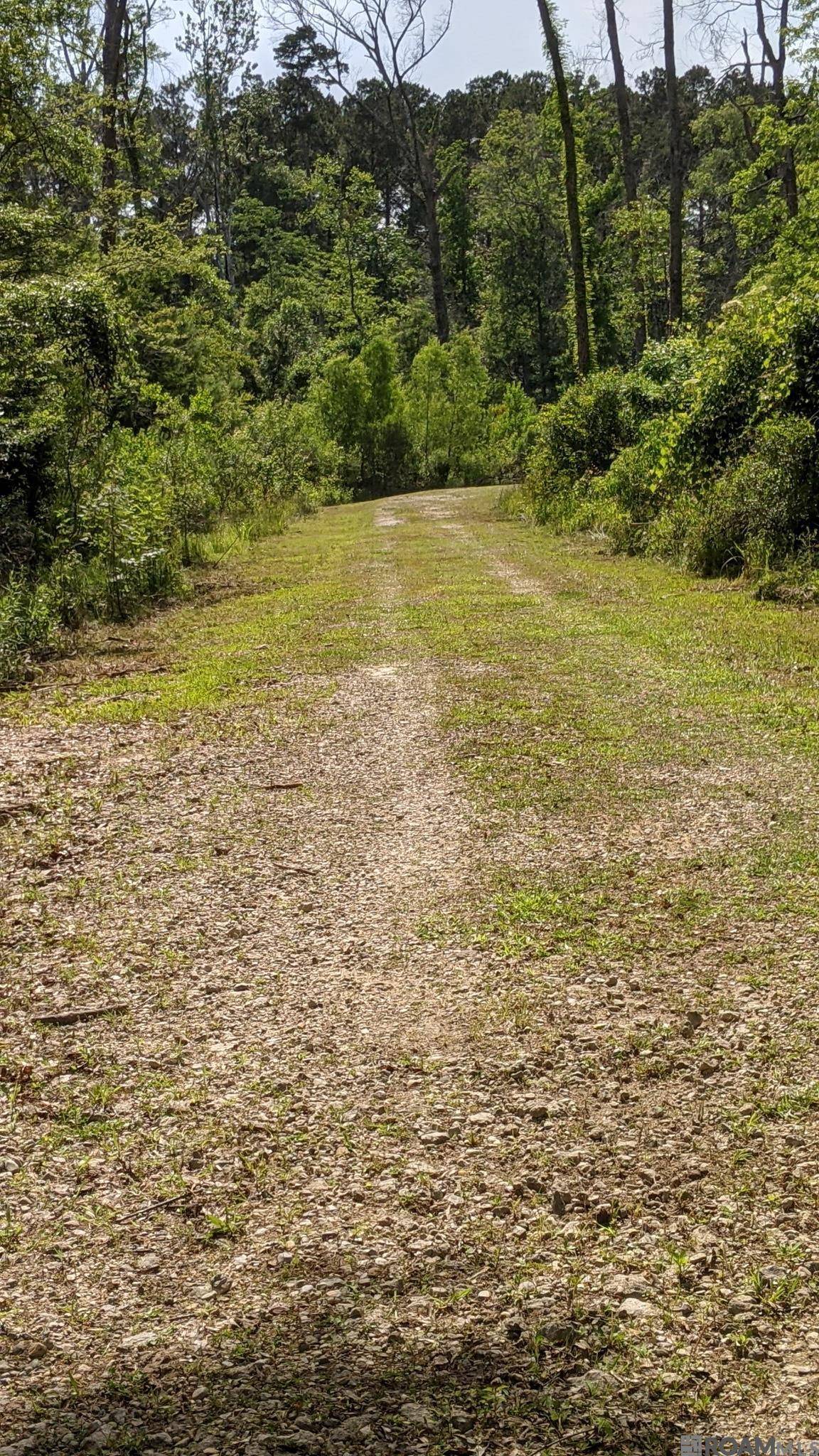Walker, LA 70785,31187 Pace Ln