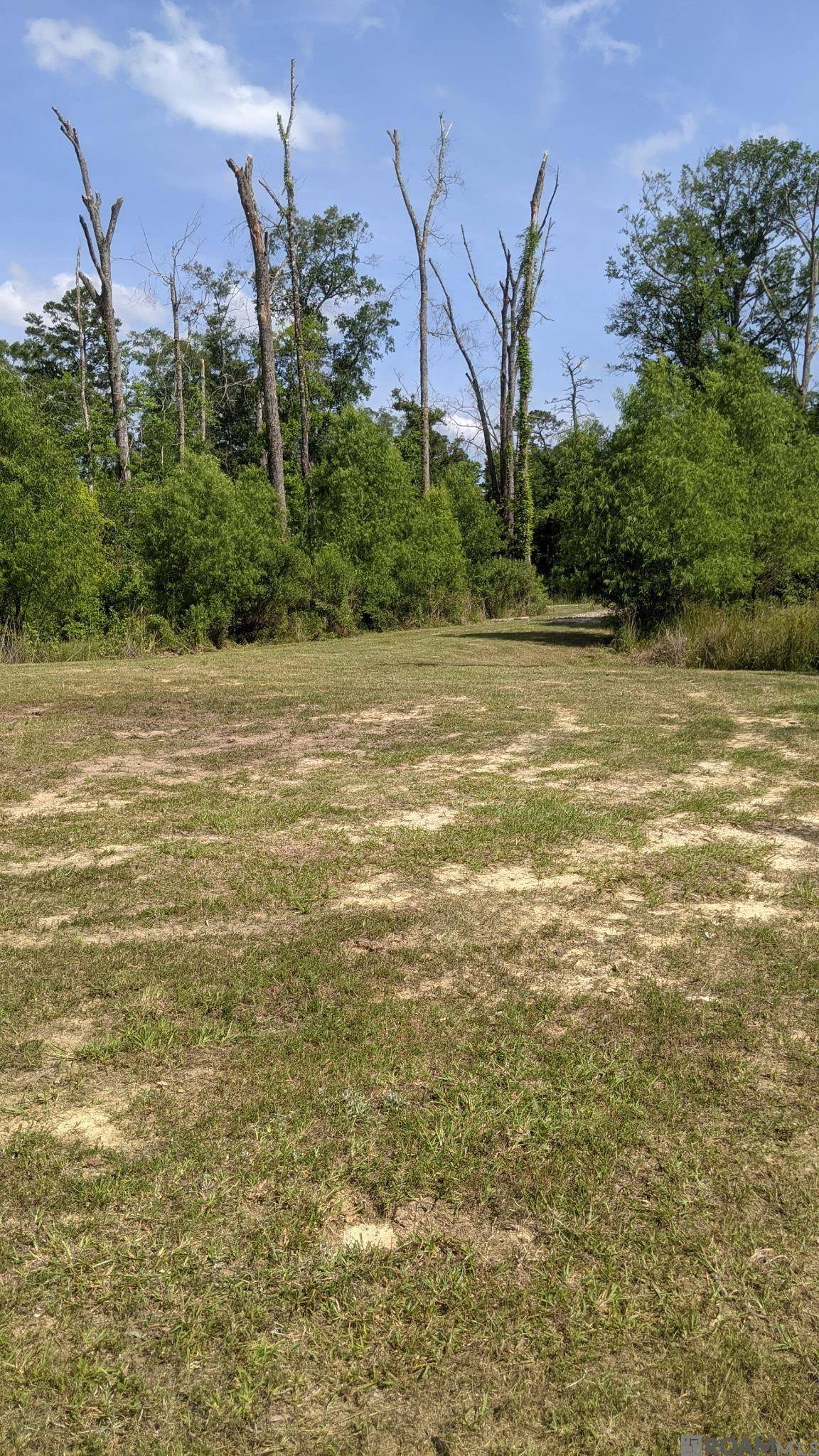 Walker, LA 70785,31187 Pace Ln