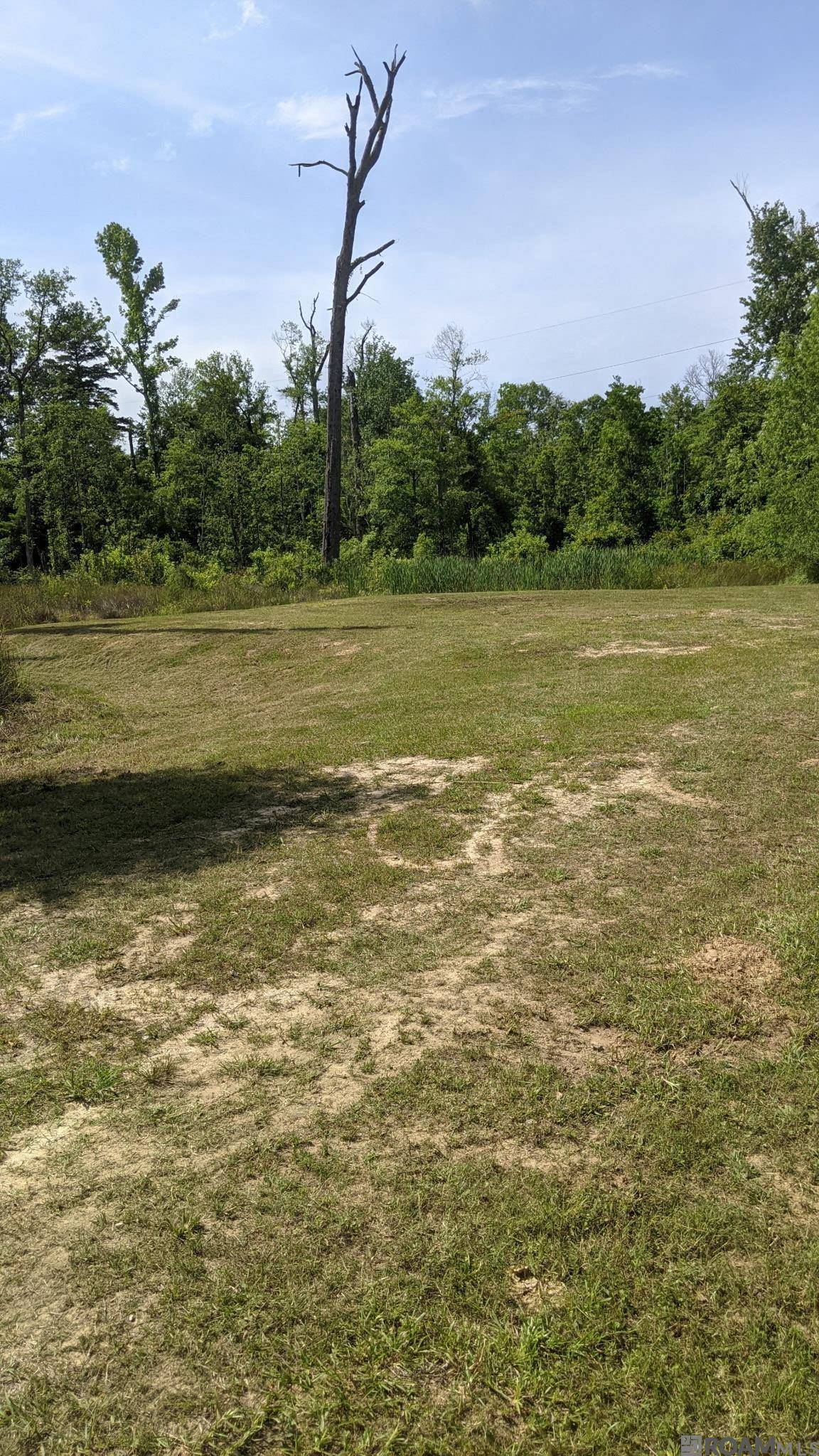 Walker, LA 70785,31187 Pace Ln