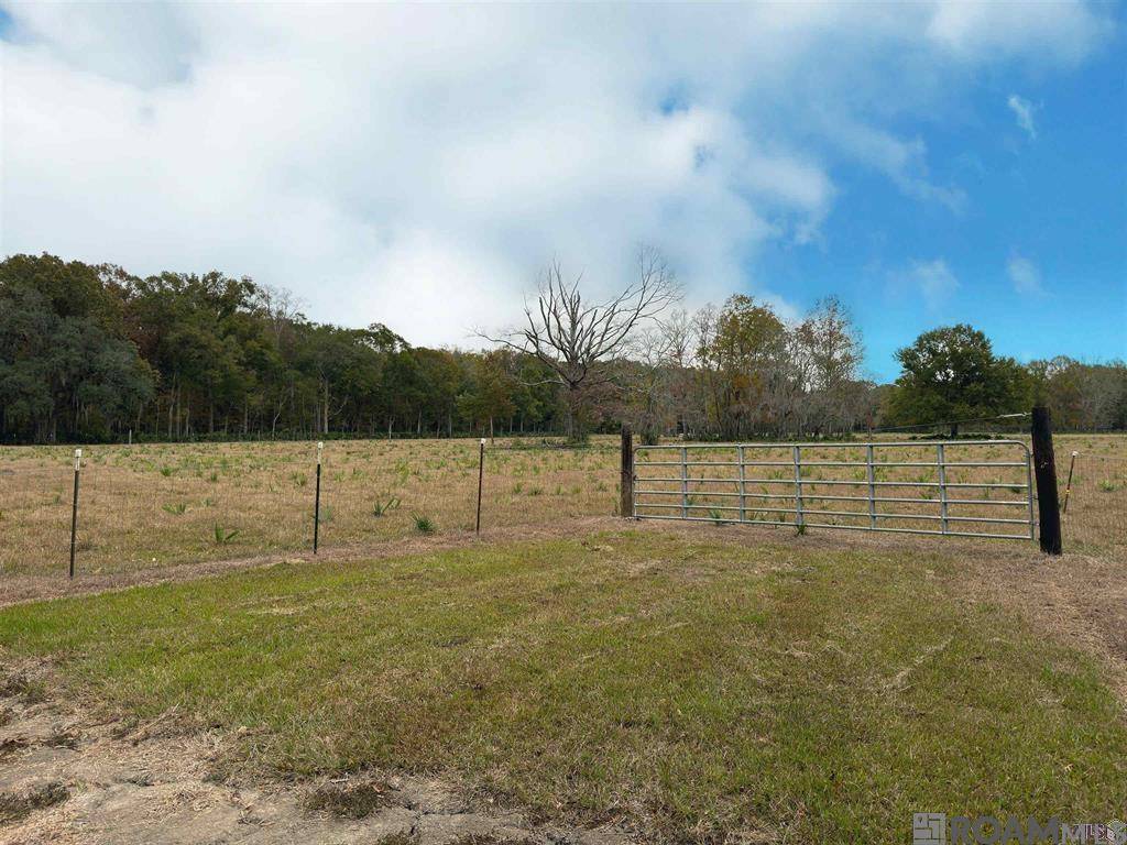 St Amant, LA 70774,45538 Doc Ln