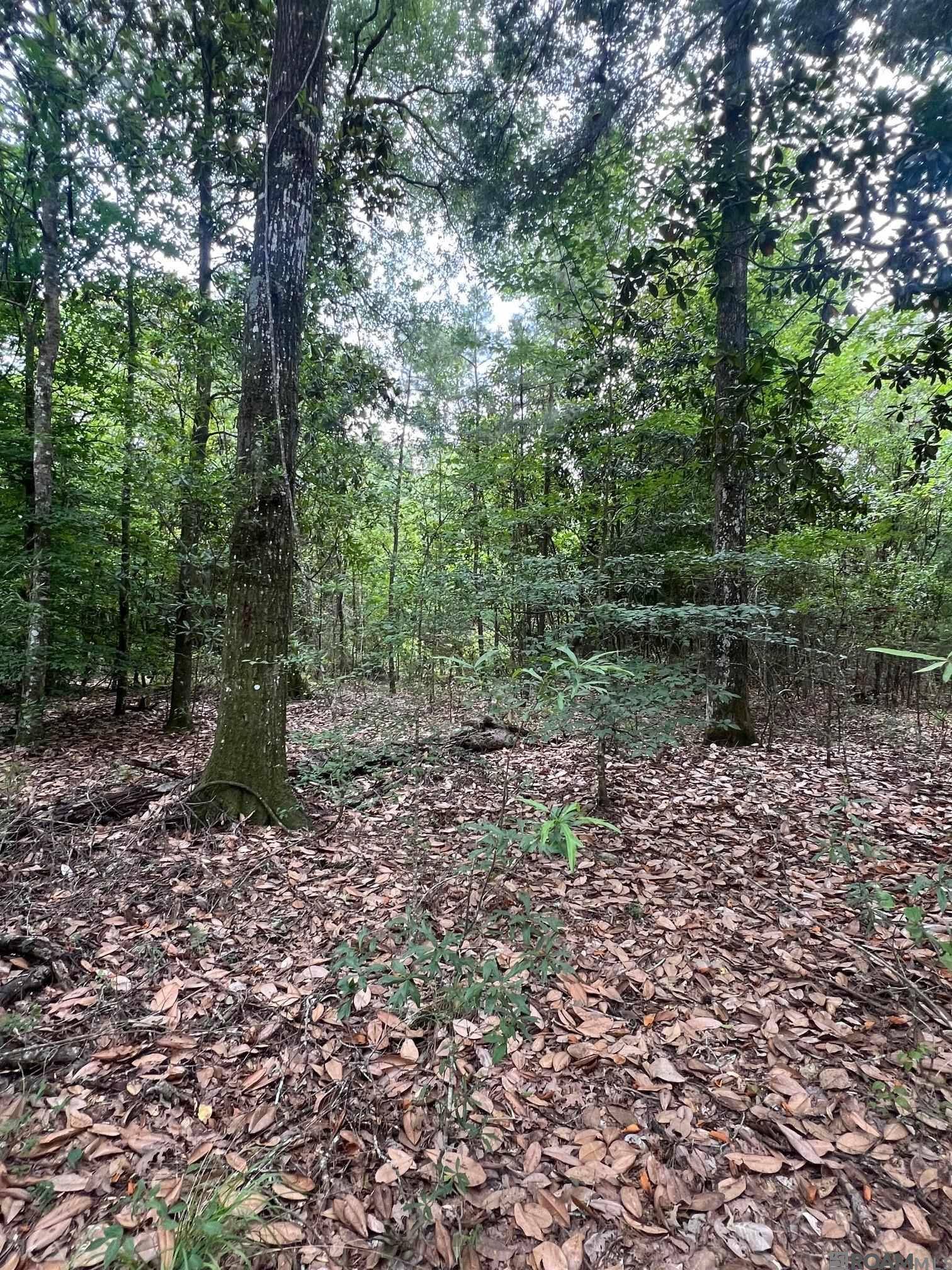Pride, LA 70770,LOT13-E-1-A-1-B Denham Rd