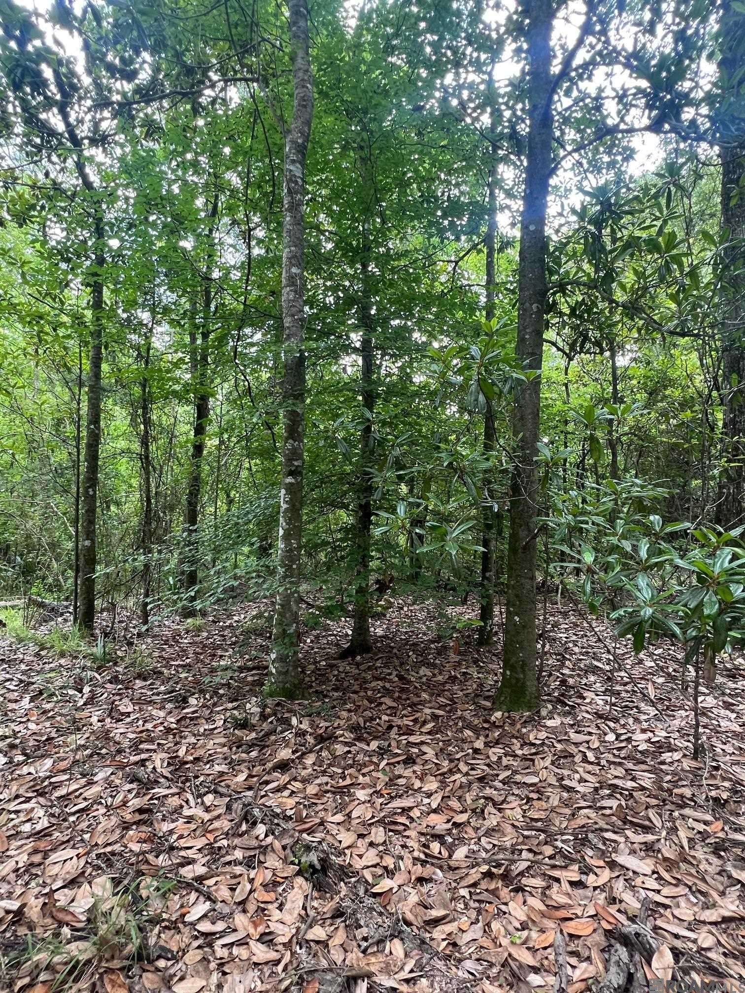 Pride, LA 70770,LOT13-E-1-A-1-B Denham Rd