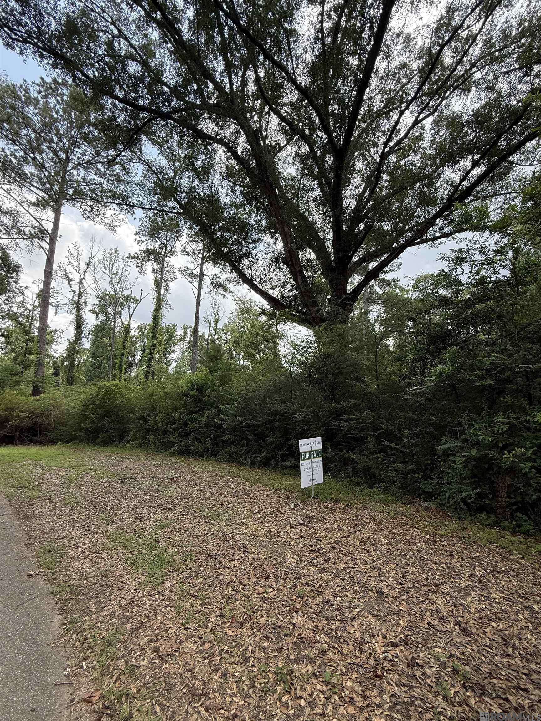 Amite, LA 70422,Big Creek Road