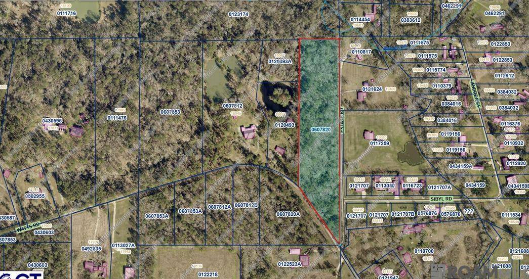Livingston, LA 70754,TMR-4-A-1-A Estate Rd