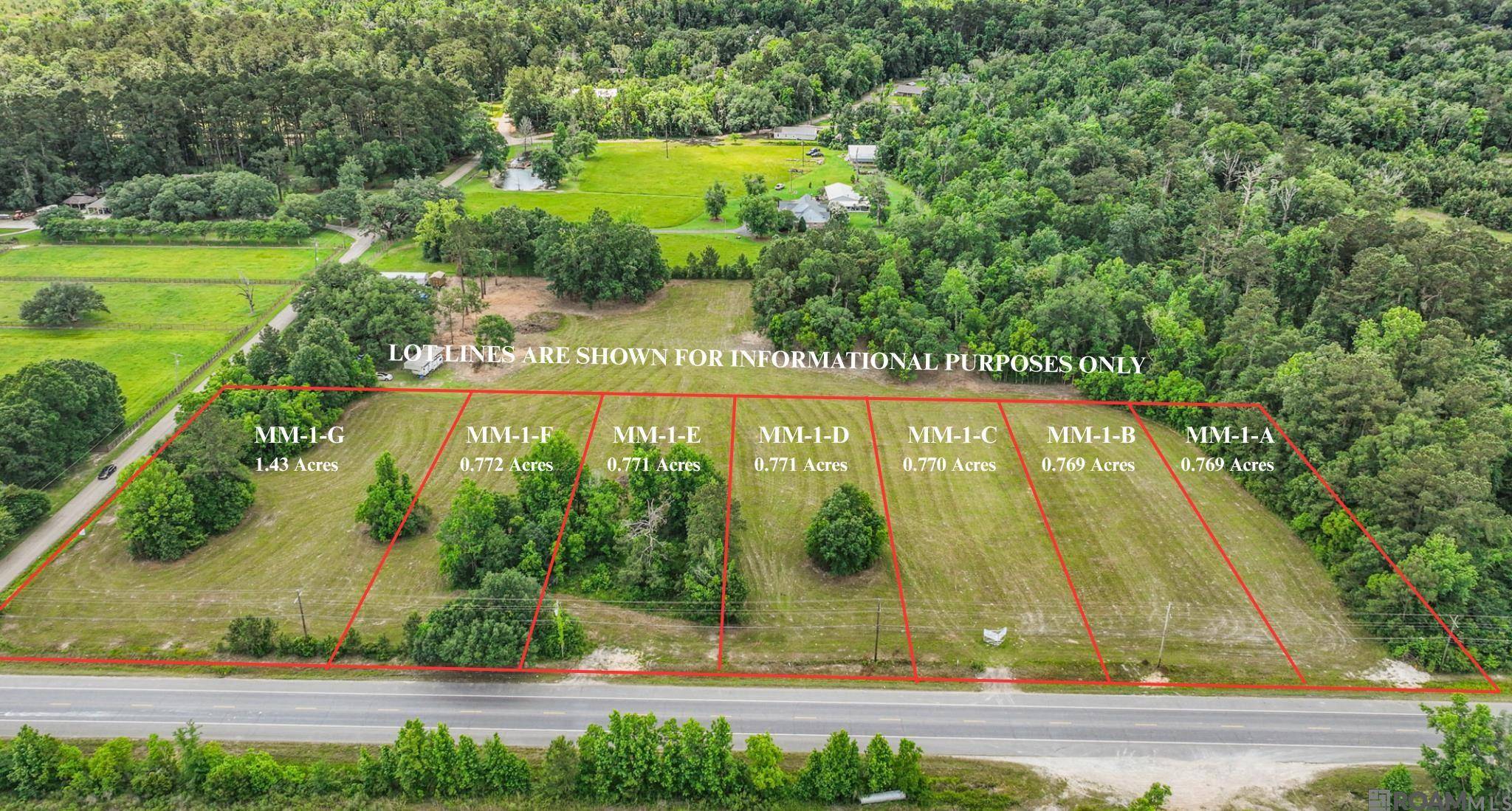 Livingston, LA 70754,Tract MM-1-A Florida Blvd