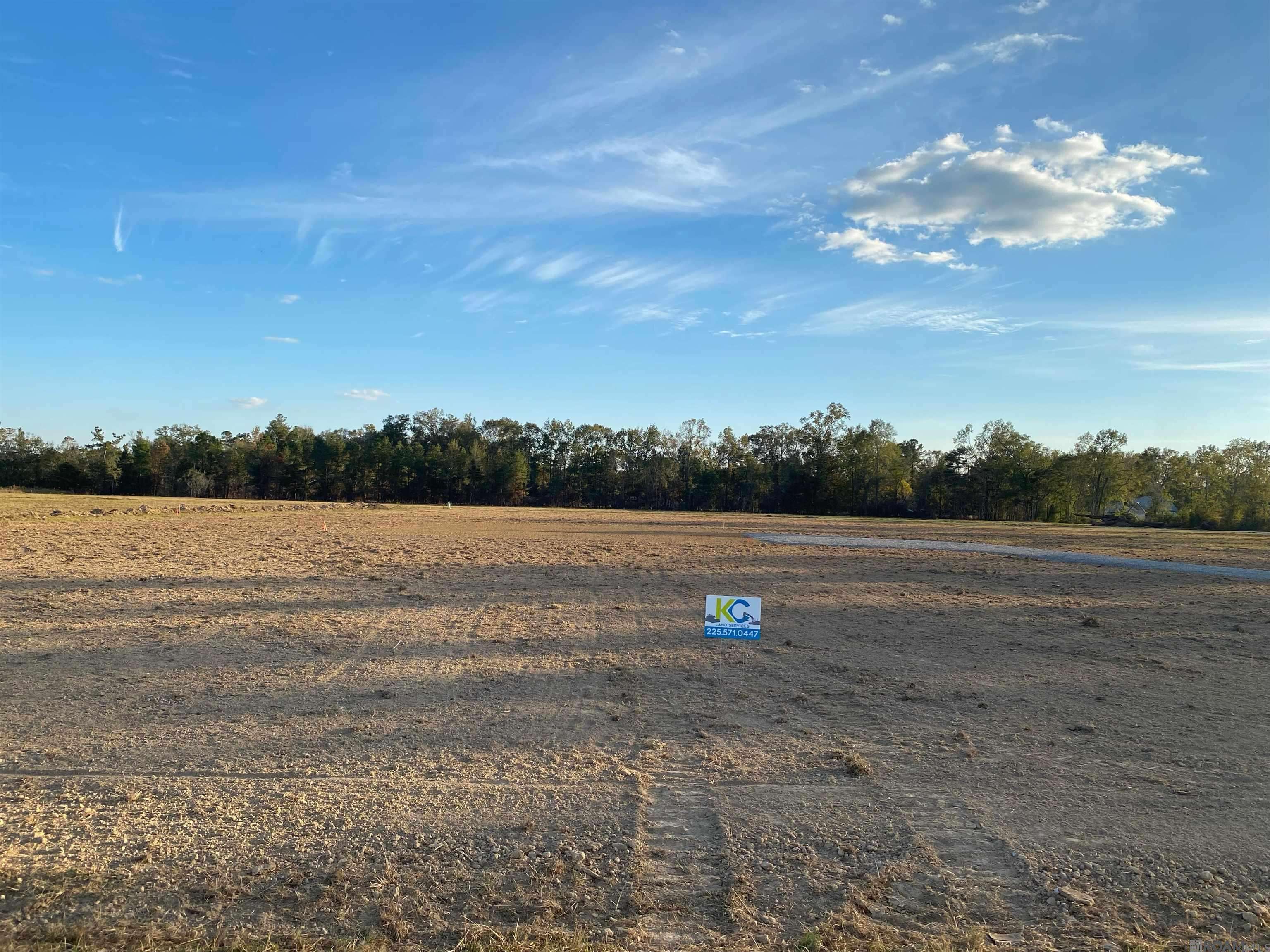 Livingston, LA 70754,0 Mayberry Lane