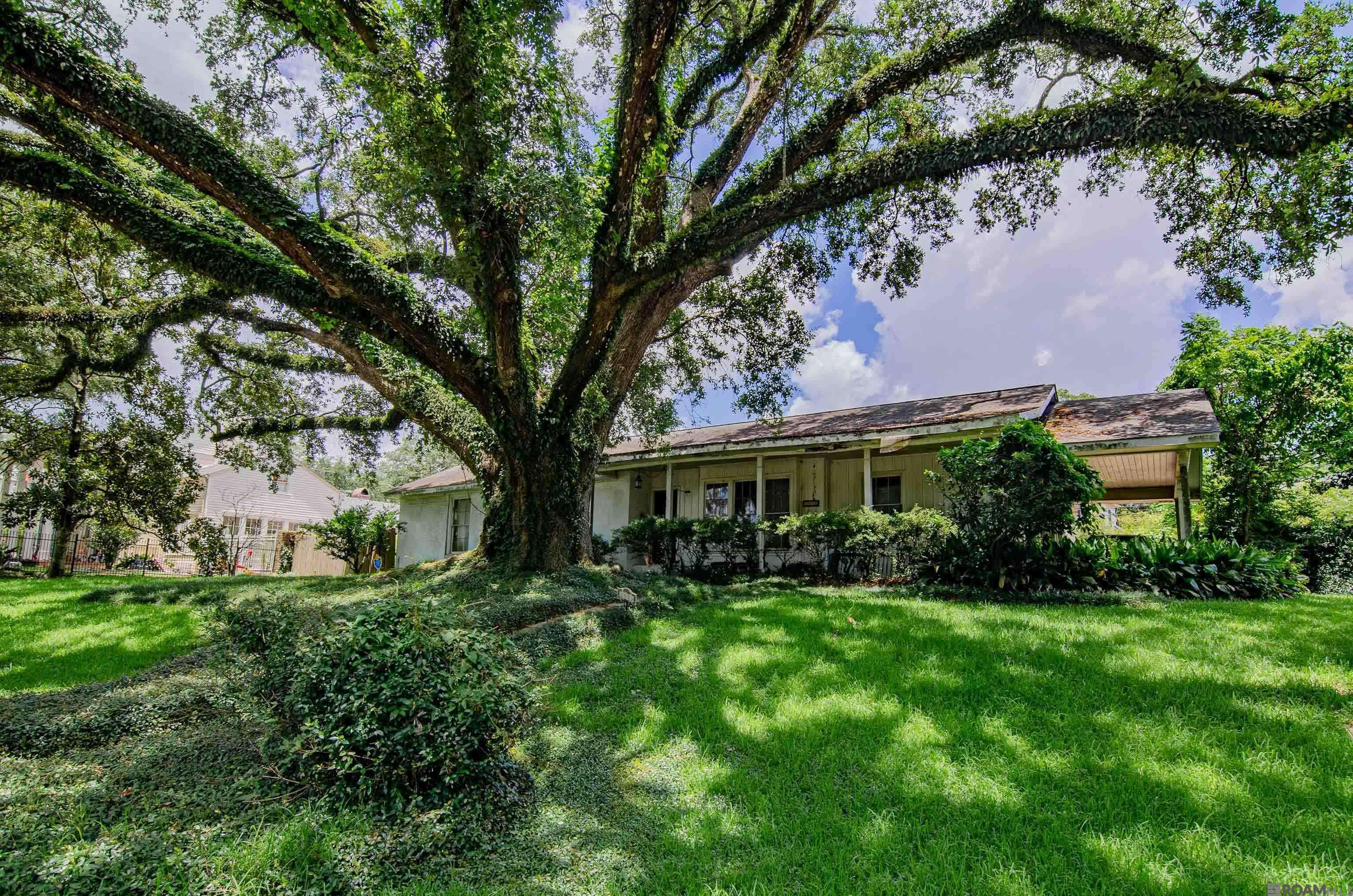 Baton Rouge, LA 70808,2593 E Lakeshore Dr