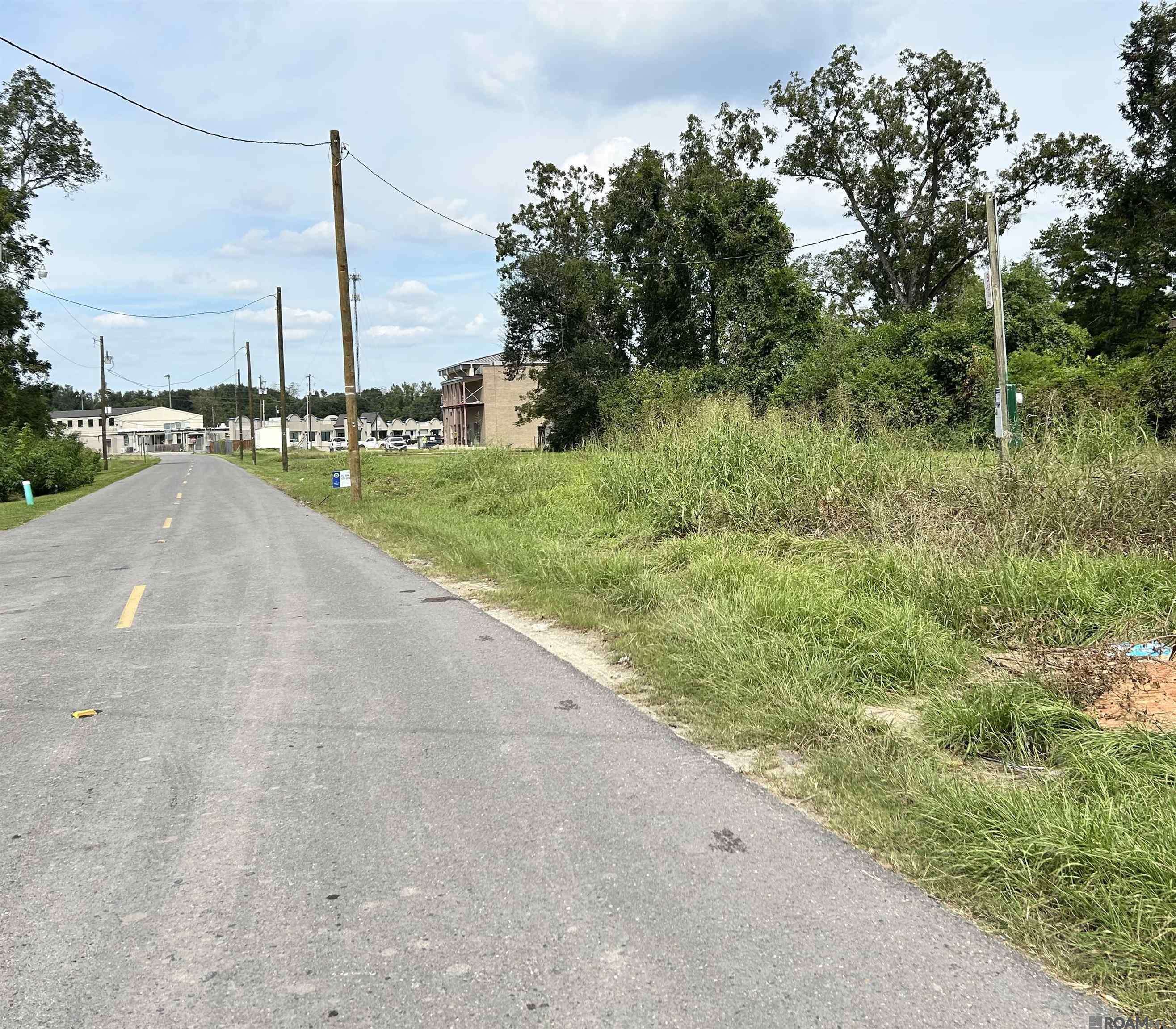 Sunshine, LA 70780,Lot 101 Ravier Ln