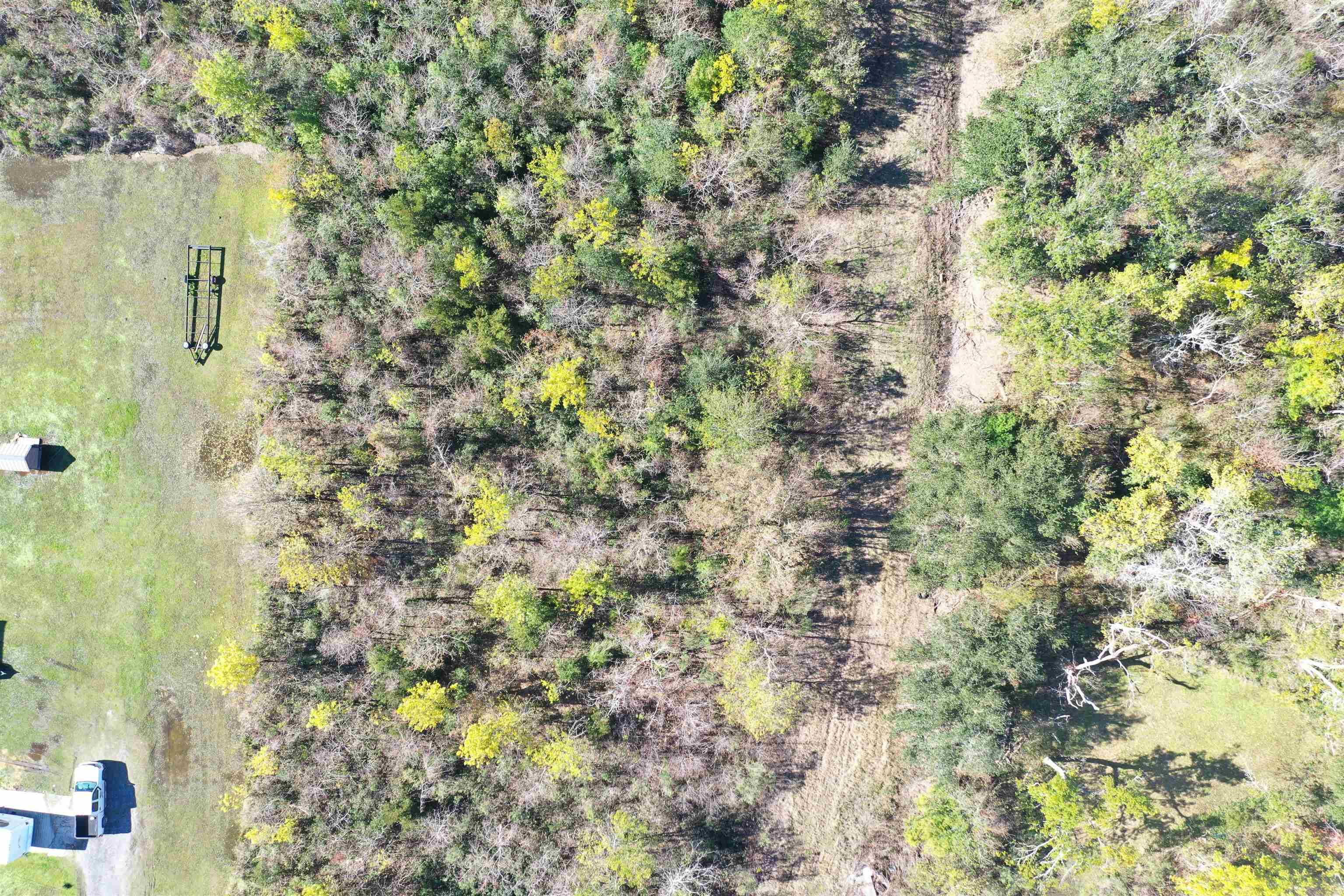 Chauvin, LA 70344,5952 Highway 56 Highway