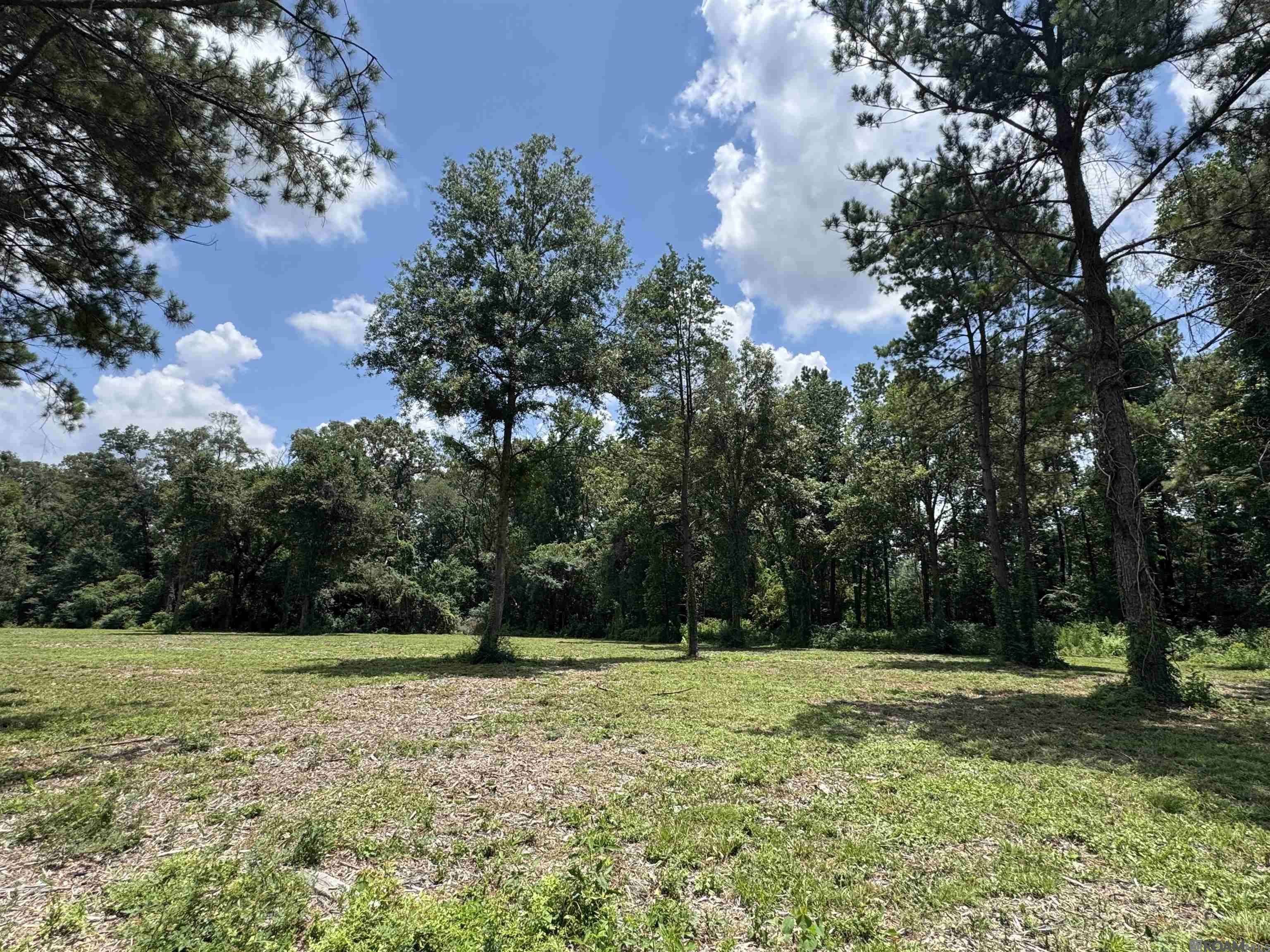 Denham Springs, LA 70706,Tract A La Hwy 16