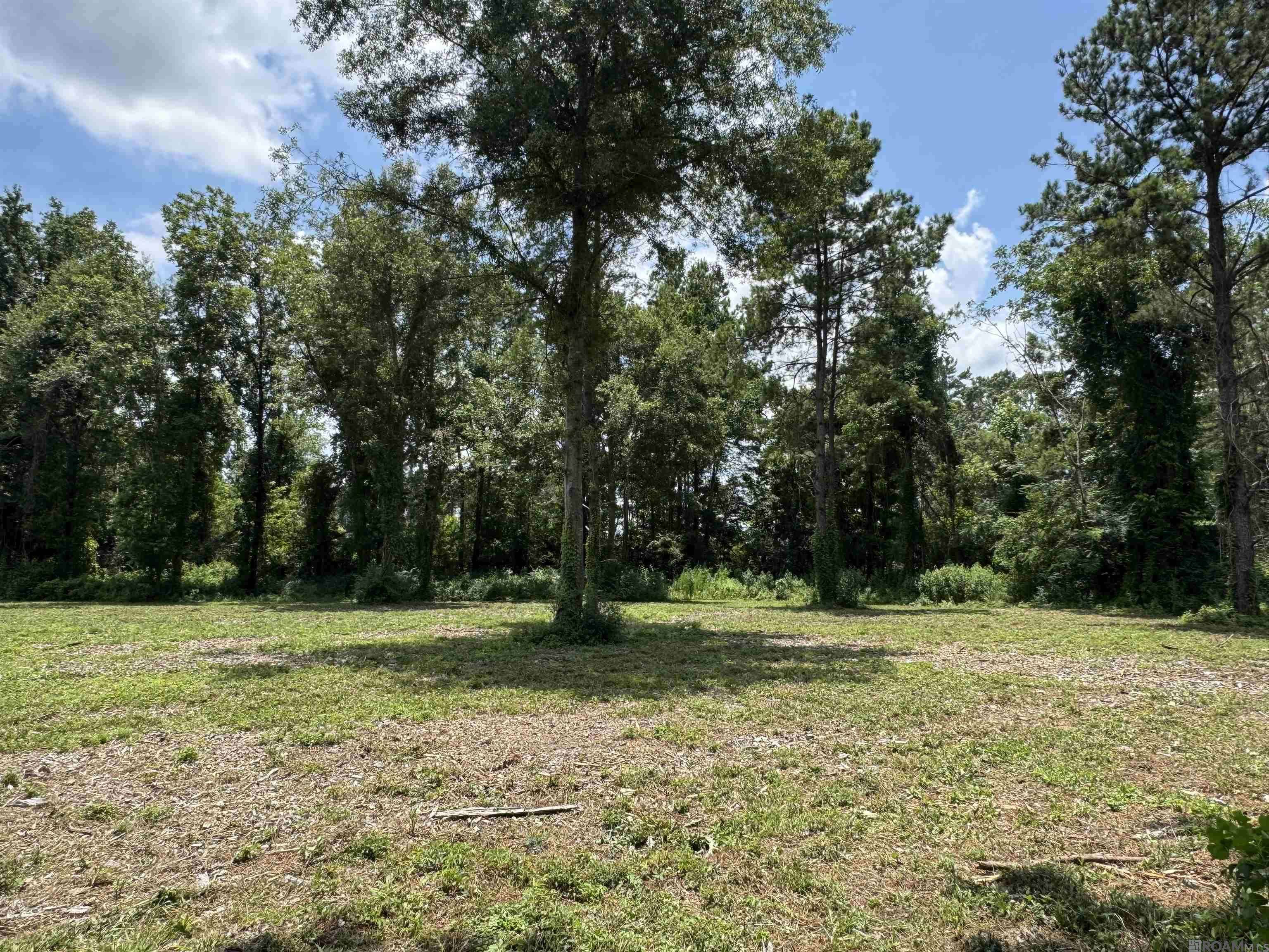 Denham Springs, LA 70706,Tract A La Hwy 16