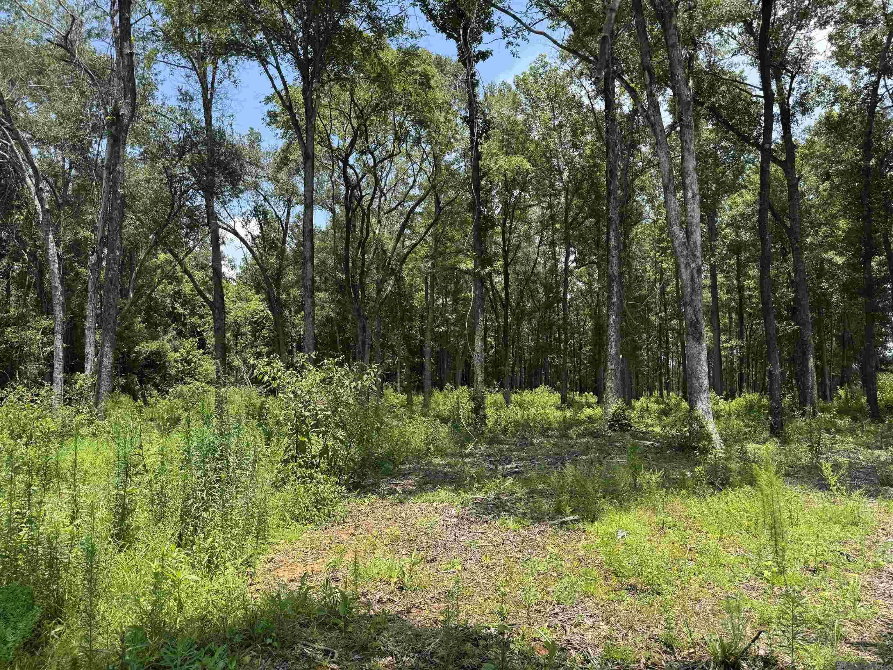 Denham Springs, LA 70706,RS-2&3 La Hwy 16