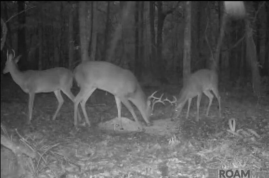 Denham Springs, LA 70706,RS-2&3 La Hwy 16